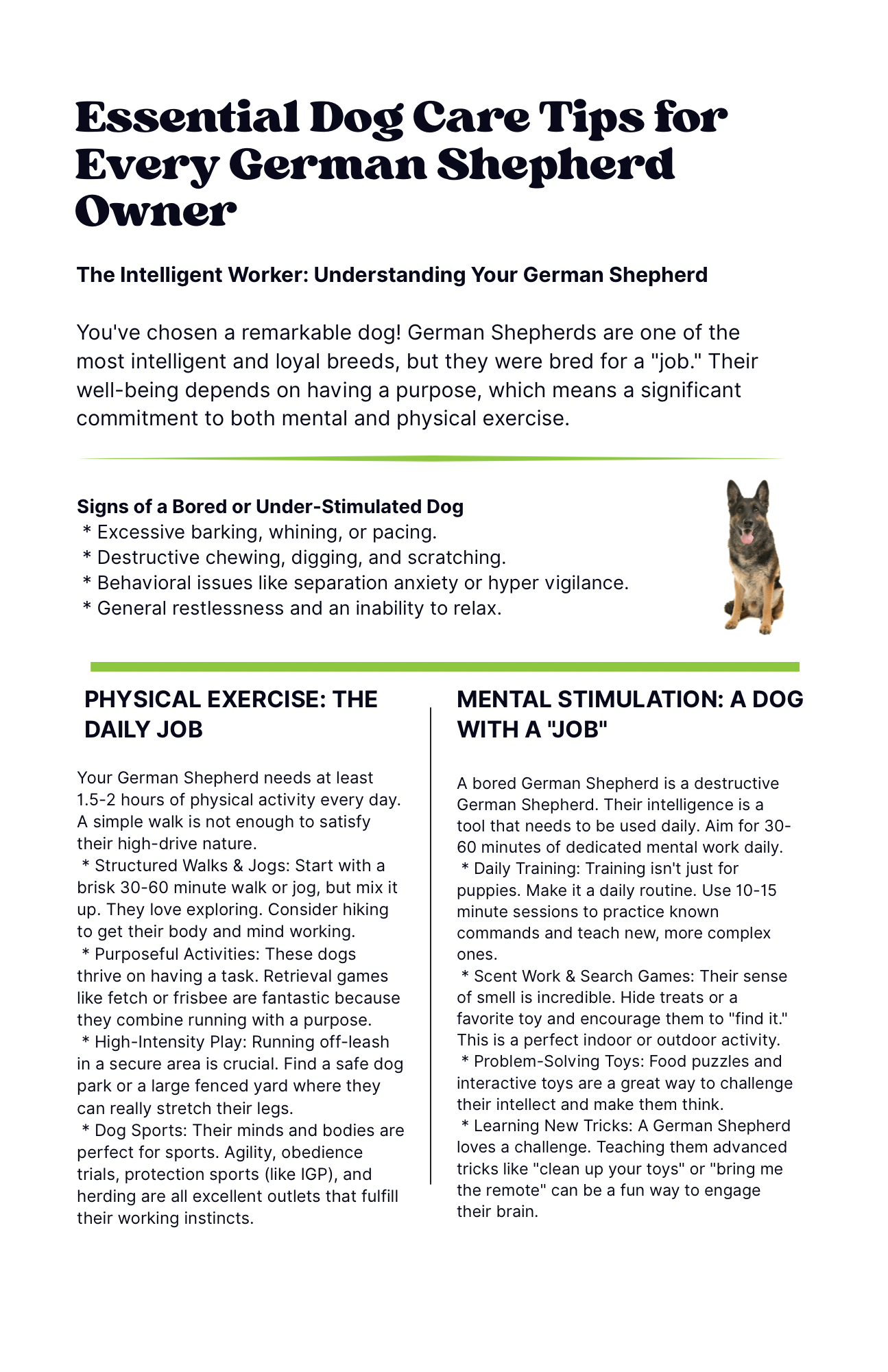 Guide titled 'Essential Dog Care Tips for Every German Shepherd Owner' with a photo of a German Shepherd dog on the right side.