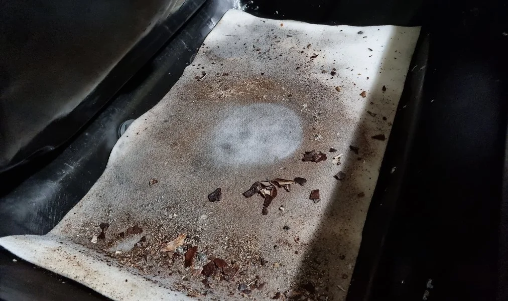 ROwasher used Bio-Filter ready for a change