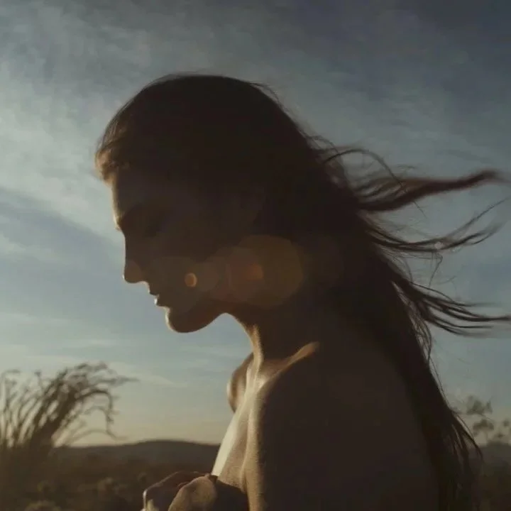 Silhouette of a woman with flowing hair outdoors during sunset or sunrise.