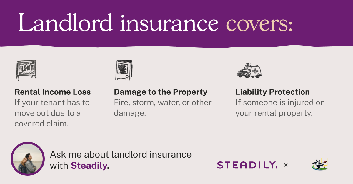 STEADILY: LANDLORD INSURANCE