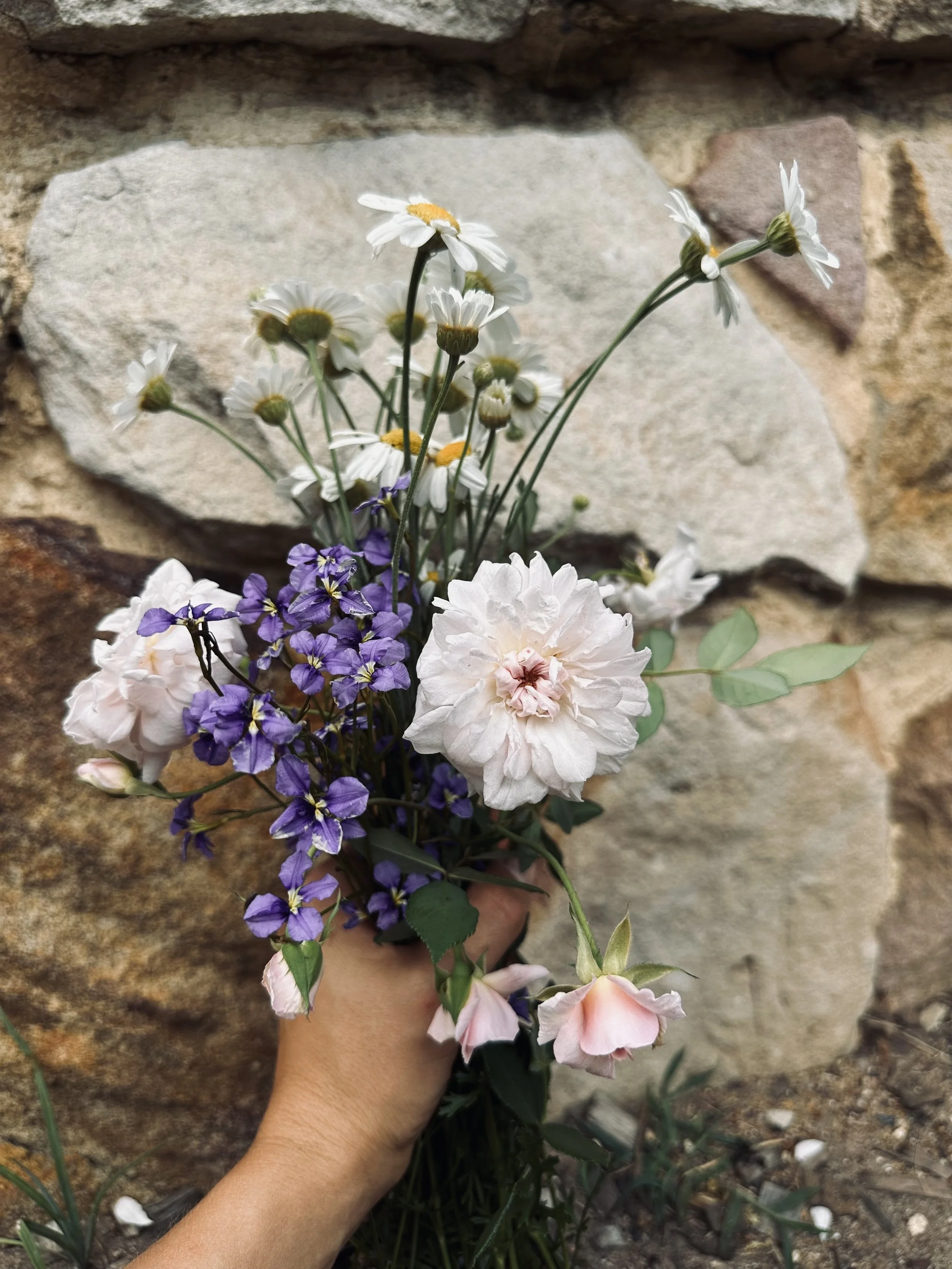 A person's hand holding a bouquet of mixed flowers, including daisies, purple violets, and pink roses, against a stone wall background.