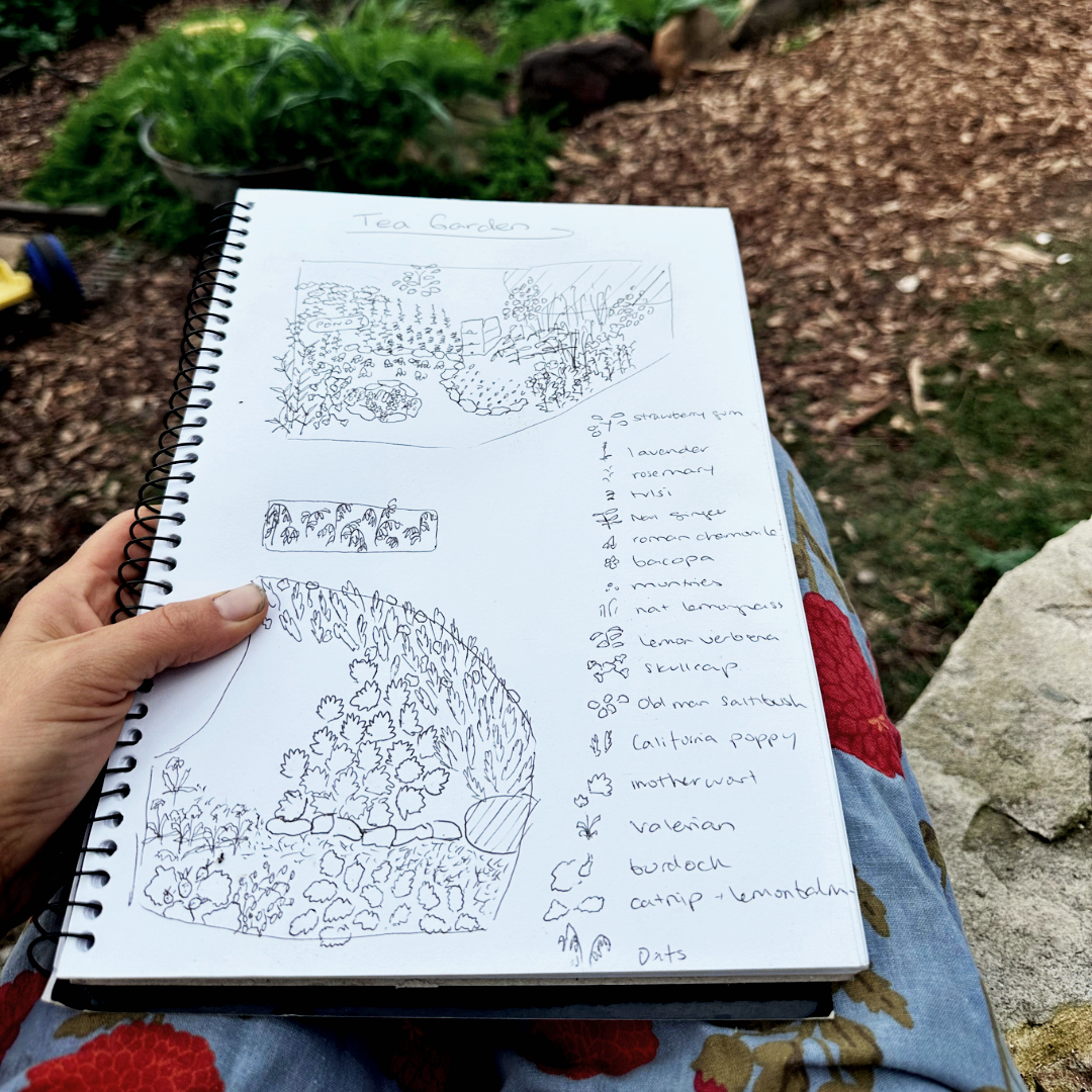 FREE GUIDE: How to design your tea garden
