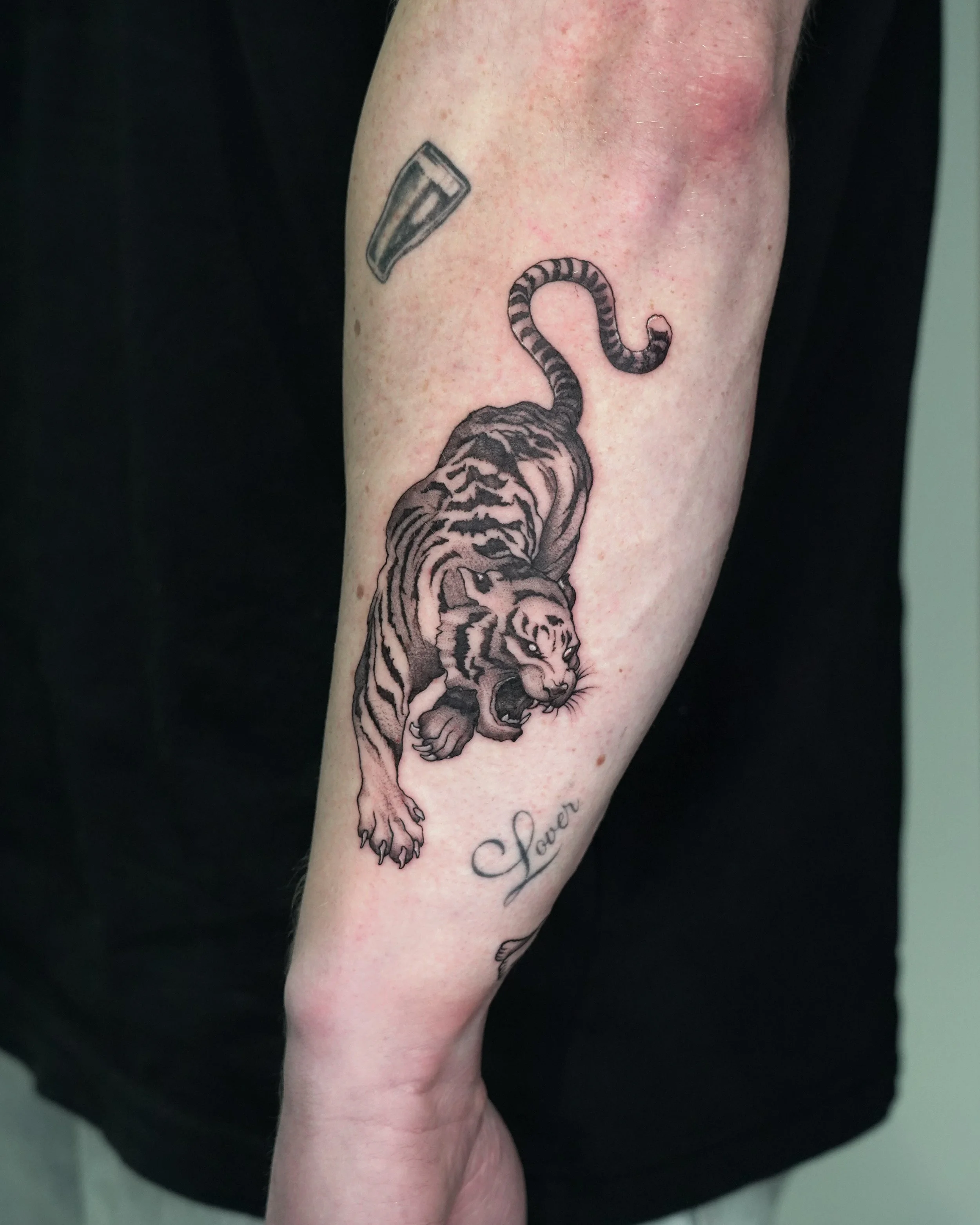 Black and grey roaring tiger tattoo with the word ‘Love’ in script on arm by Jay C Tattoo, Brighton and Hove tattoo artist, UK
