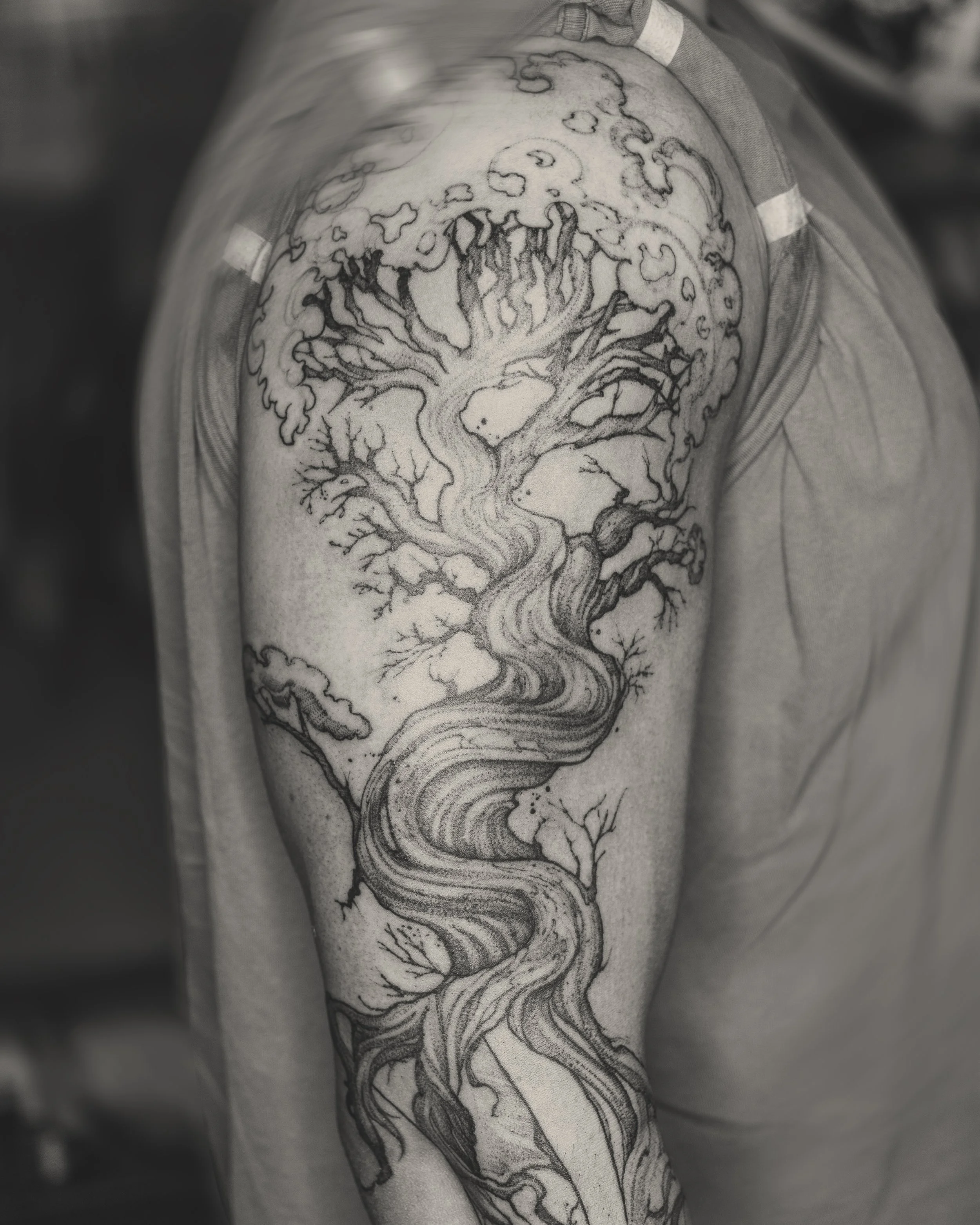 Black and grey fine line tattoo of a twisting leafless tree on upper arm by Jay C Tattoo, Brighton tattoo artist, UK