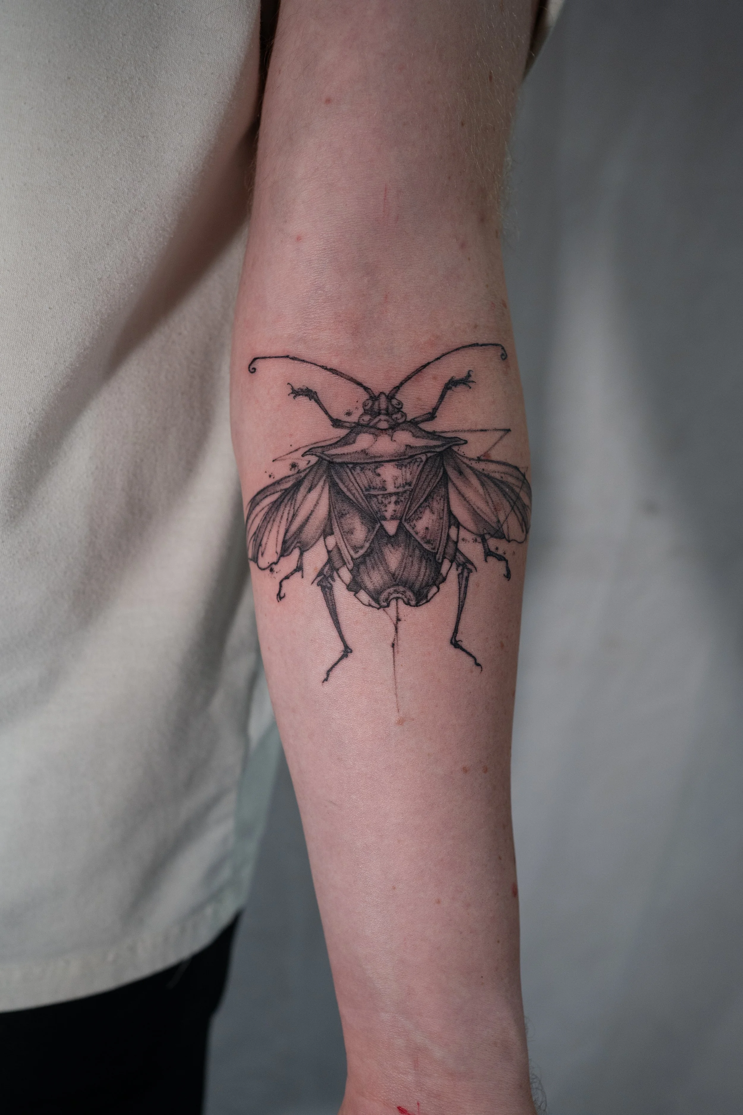 Black and grey fine line stink bug tattoo on forearm by Jay C Tattoo, Brighton tattoo artist, UK
