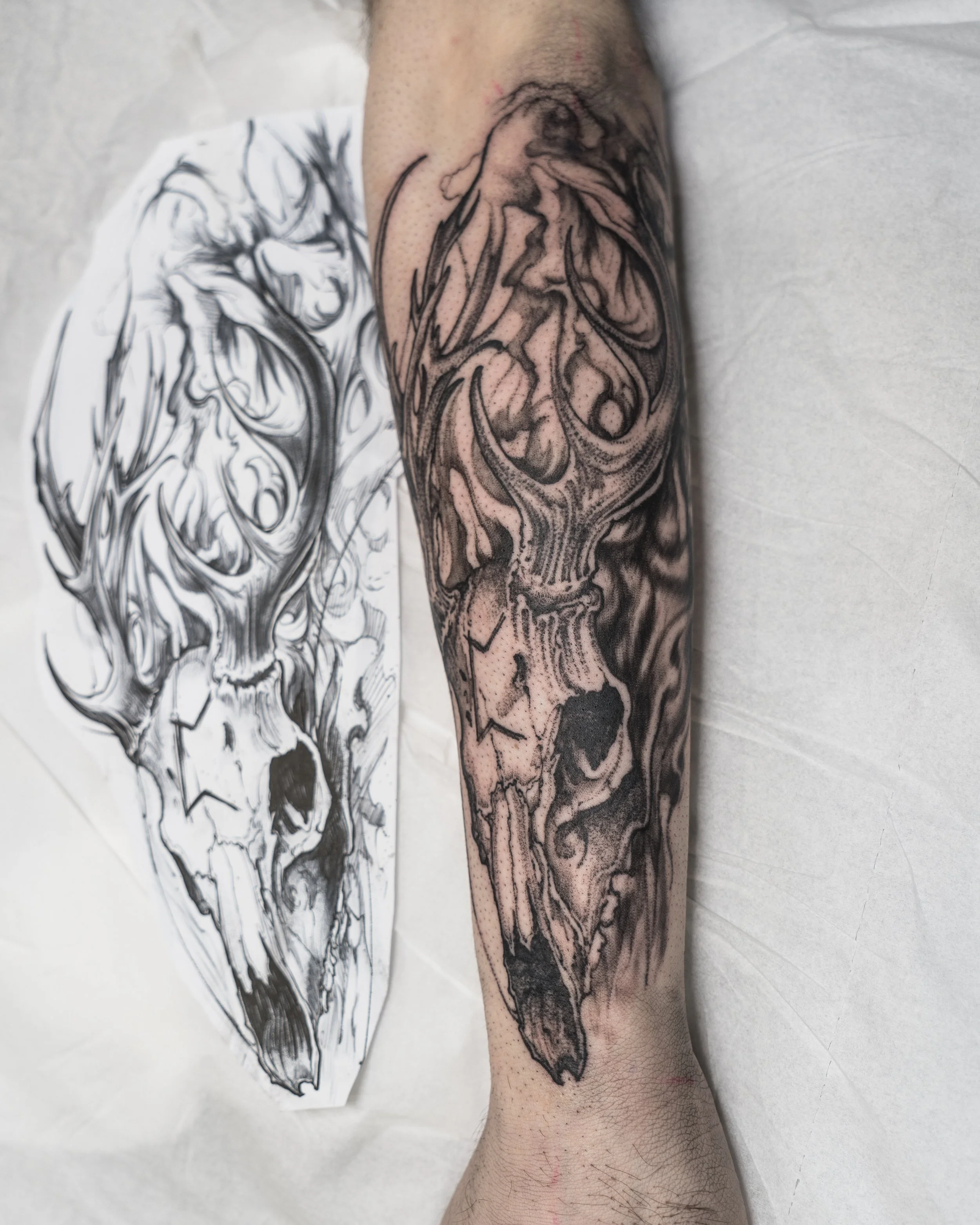 Black and grey tattoo of a skull with antlers on forearm with matching sketch by Jay C Tattoo, Brighton and Hove tattoo artist, UK
