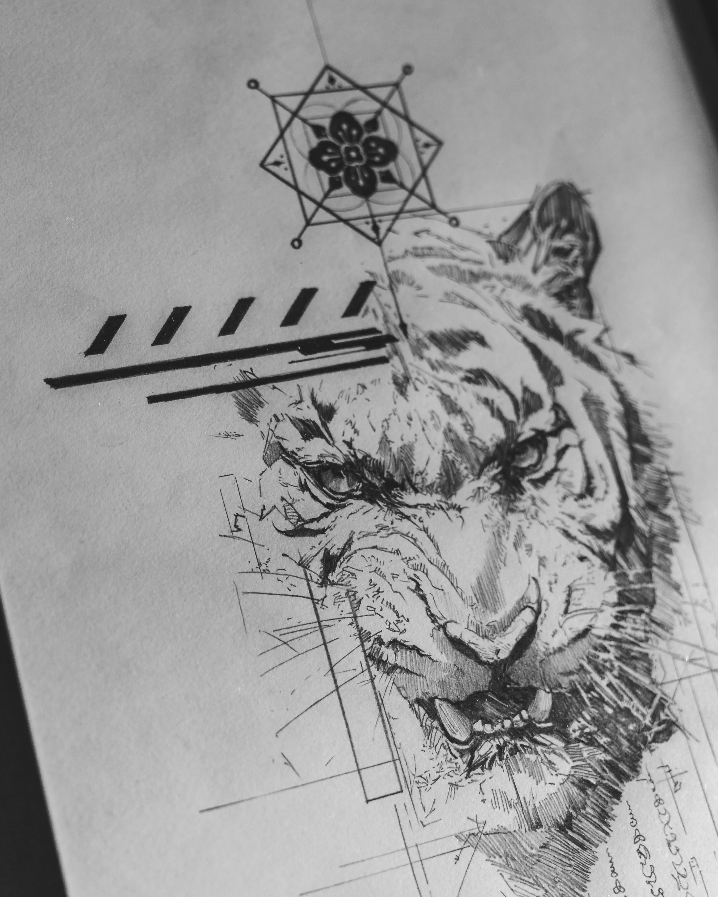 sacred roar 23.9-5.jpg