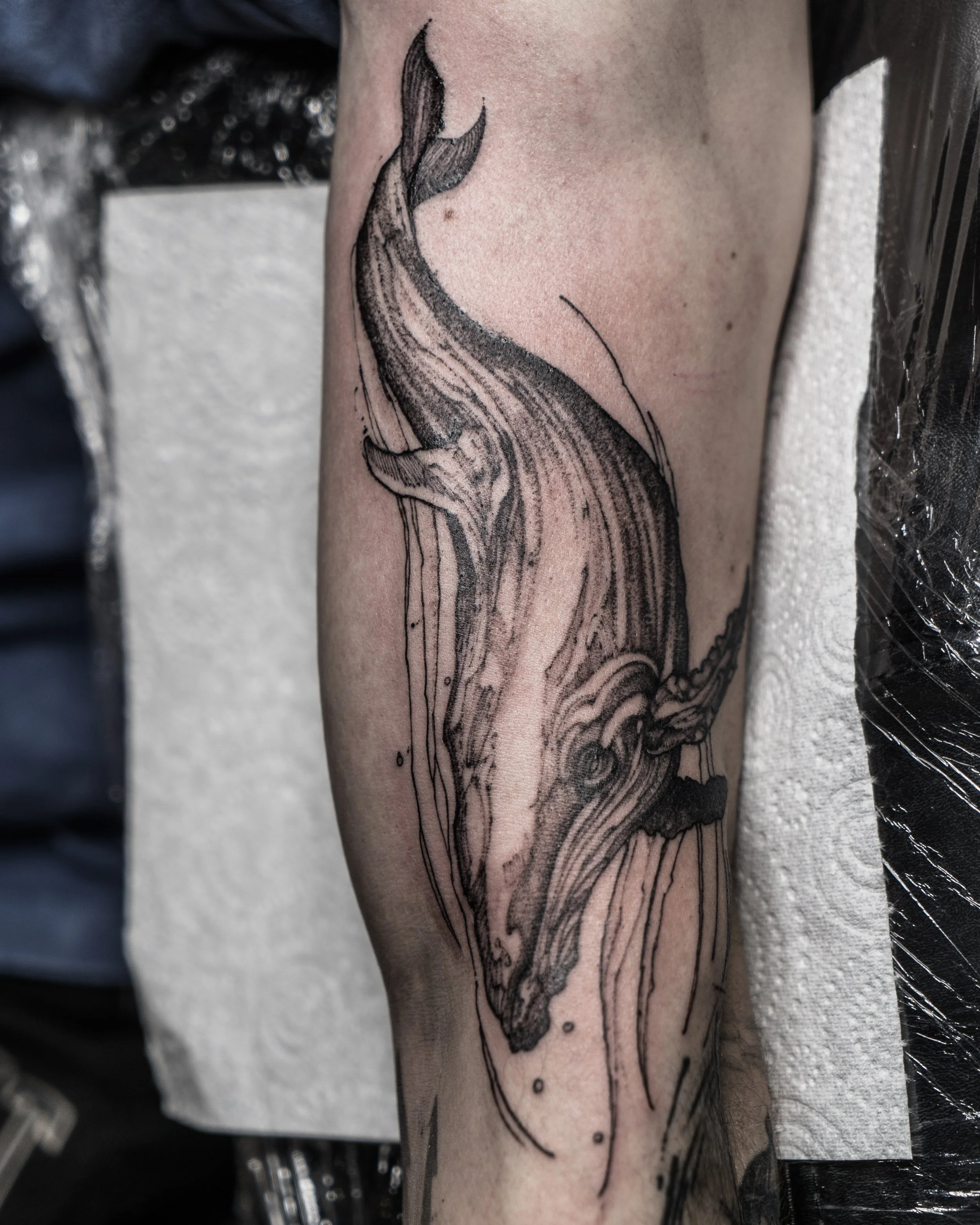 Black ink tattoo of a whale in sketch-style linework by Jay C Tattoo, Brighton tattoo artist, UK
