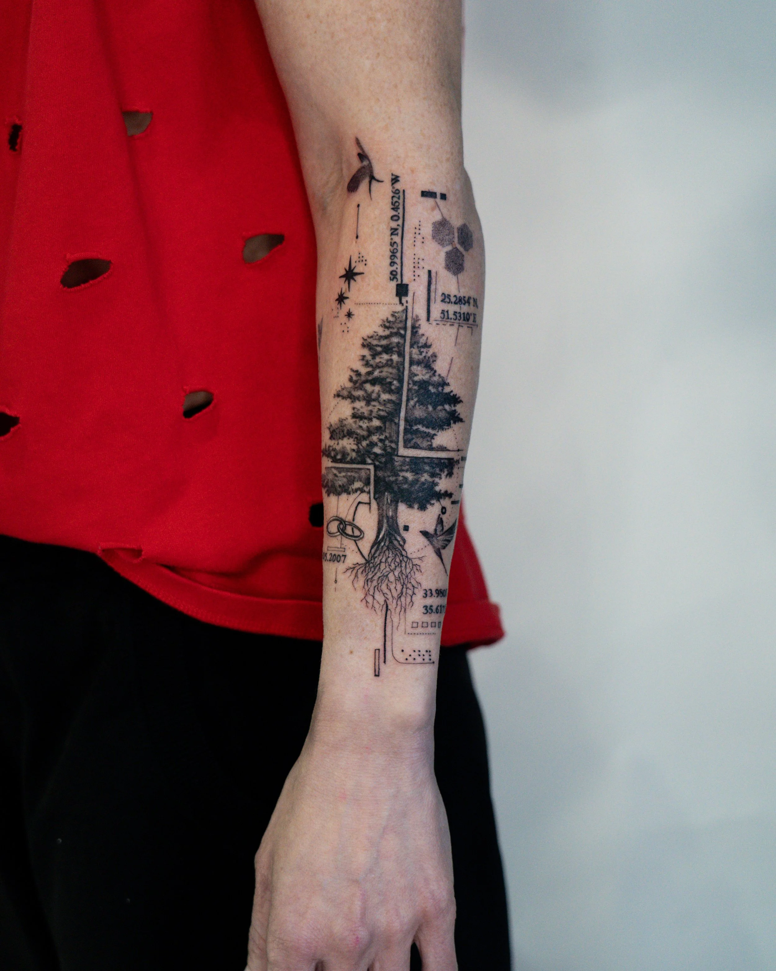Fineline Tattoo of a tree with roots, with scientific and geographic coordinates, on a person's inner forearm. made in brighton by jay c tattoo.