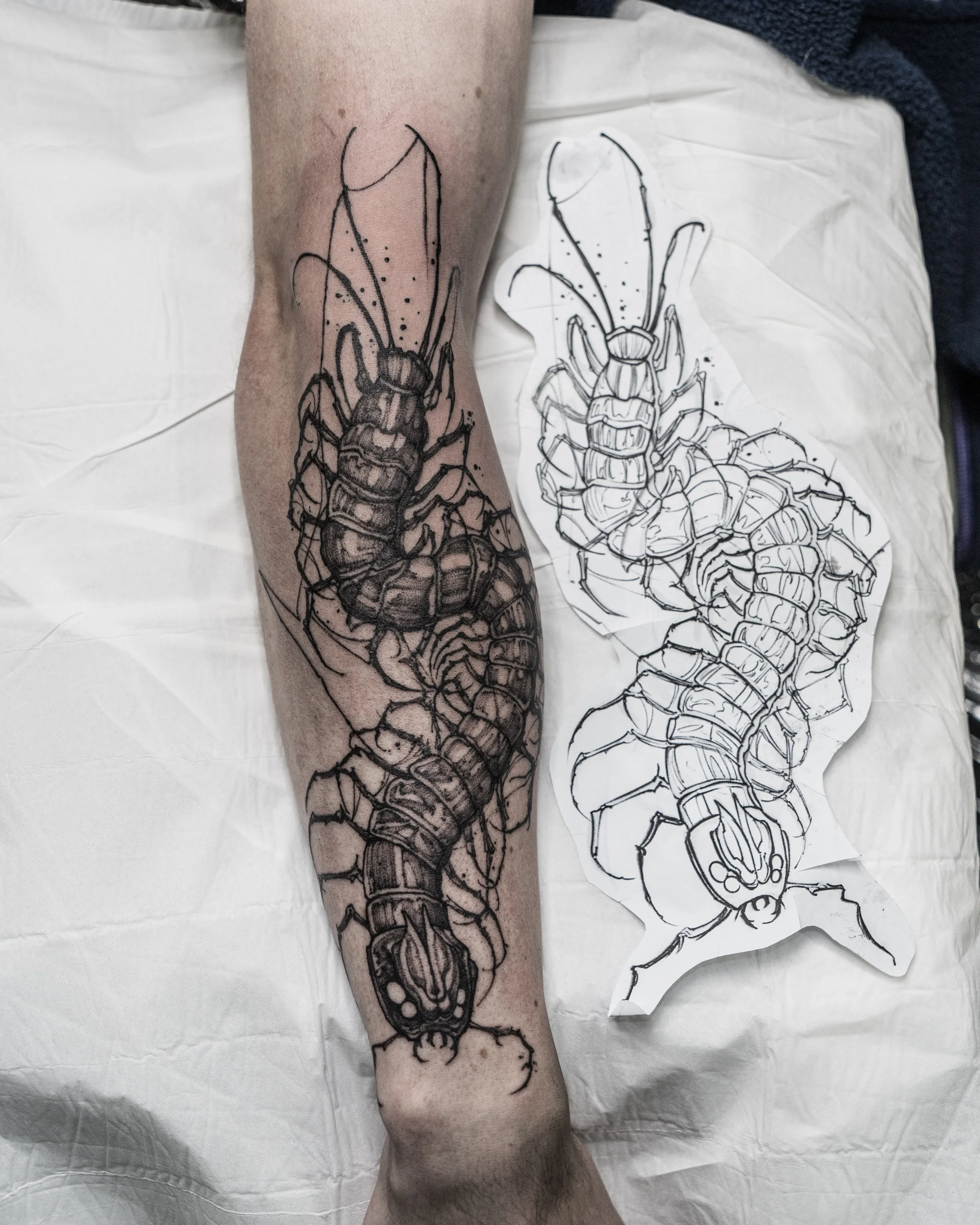 Tattoo design sketch of a centipede with placement on leg by Jay C Tattoo, Brighton tattoo artist, UK
