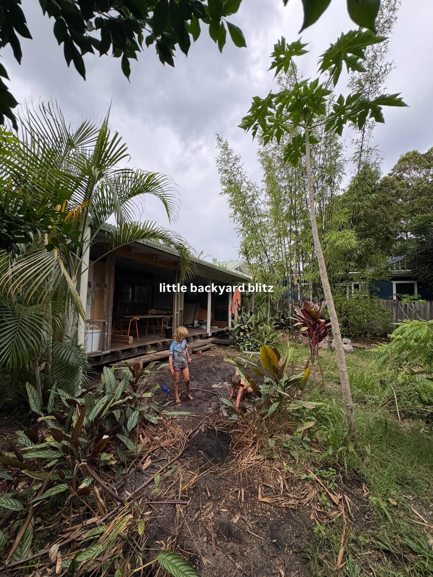 Lucky I know a lawn expert with an excavator license. Dave sLaying (pun) as usual. Swipe to the end to see a rare photo of him. I was a total passenger princess for this project and didn&rsquo;t lay one bit of lawn because he did it too fast 🌱👏🏼