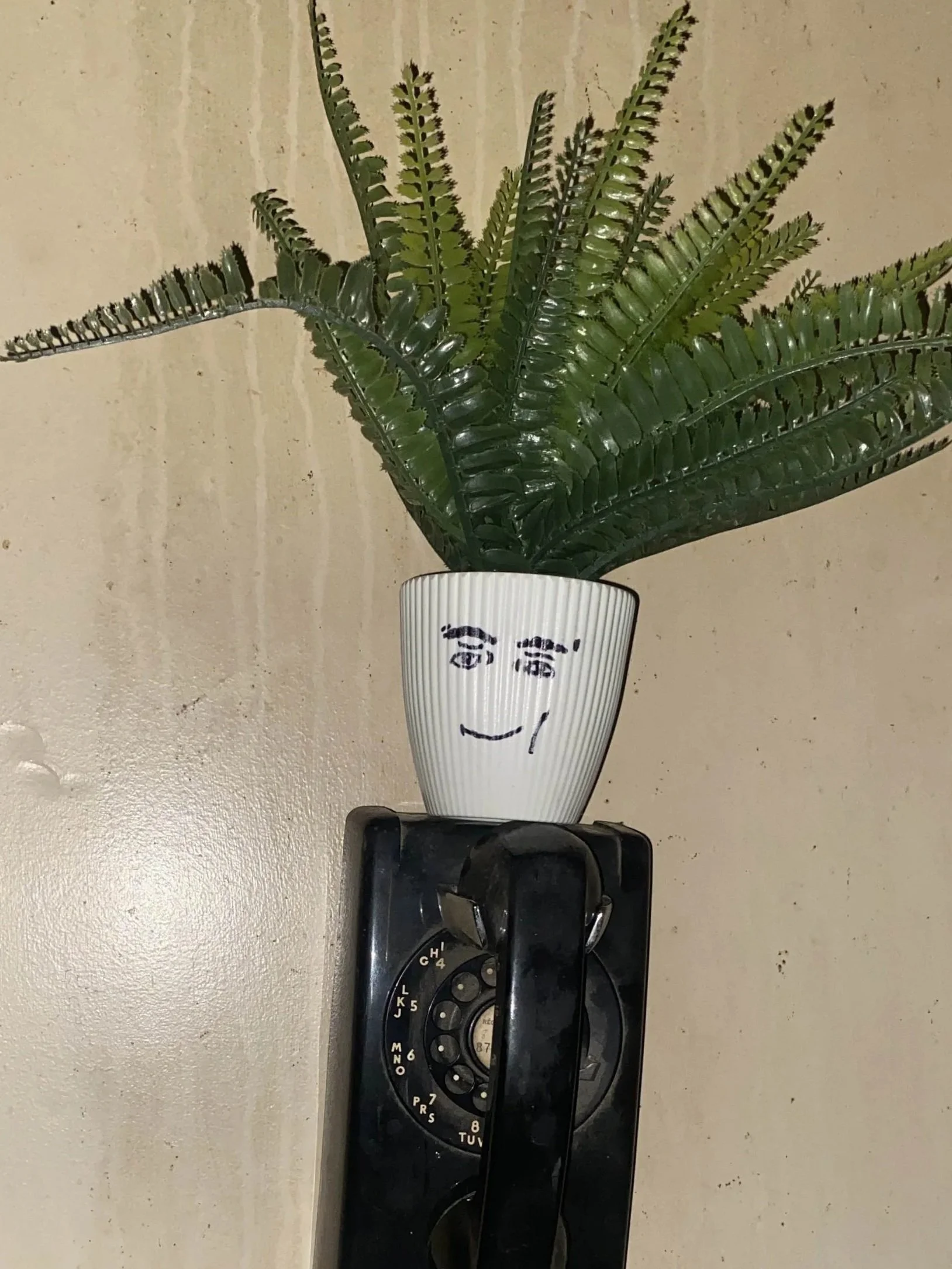 A potted fern with a happy face drawn on its white pot, placed on a black rotary phone on a beige wall.