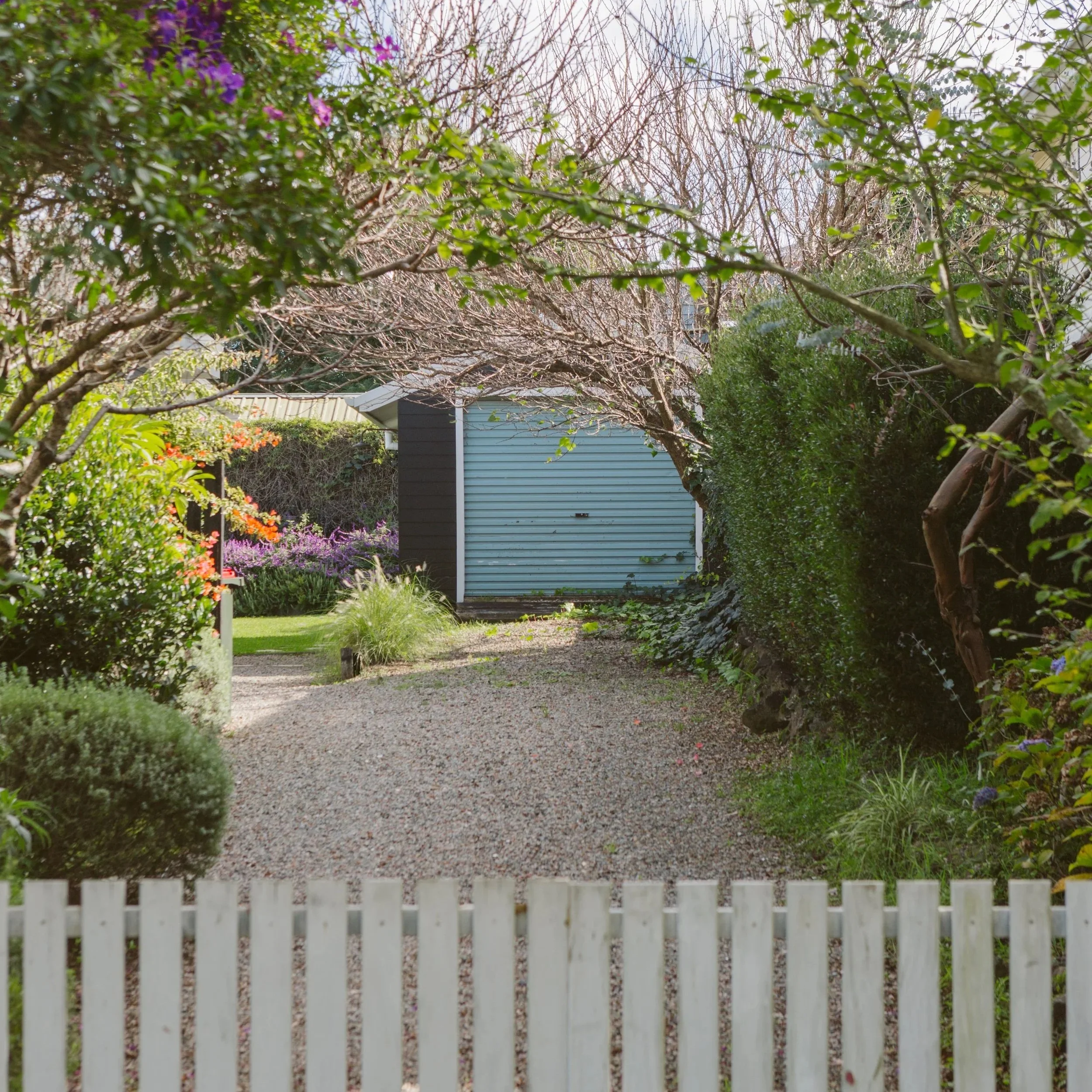 A garden with a gravel path, surrounded by colorful flowers and trees, leading to a blue shed with a white fence in the foreground.