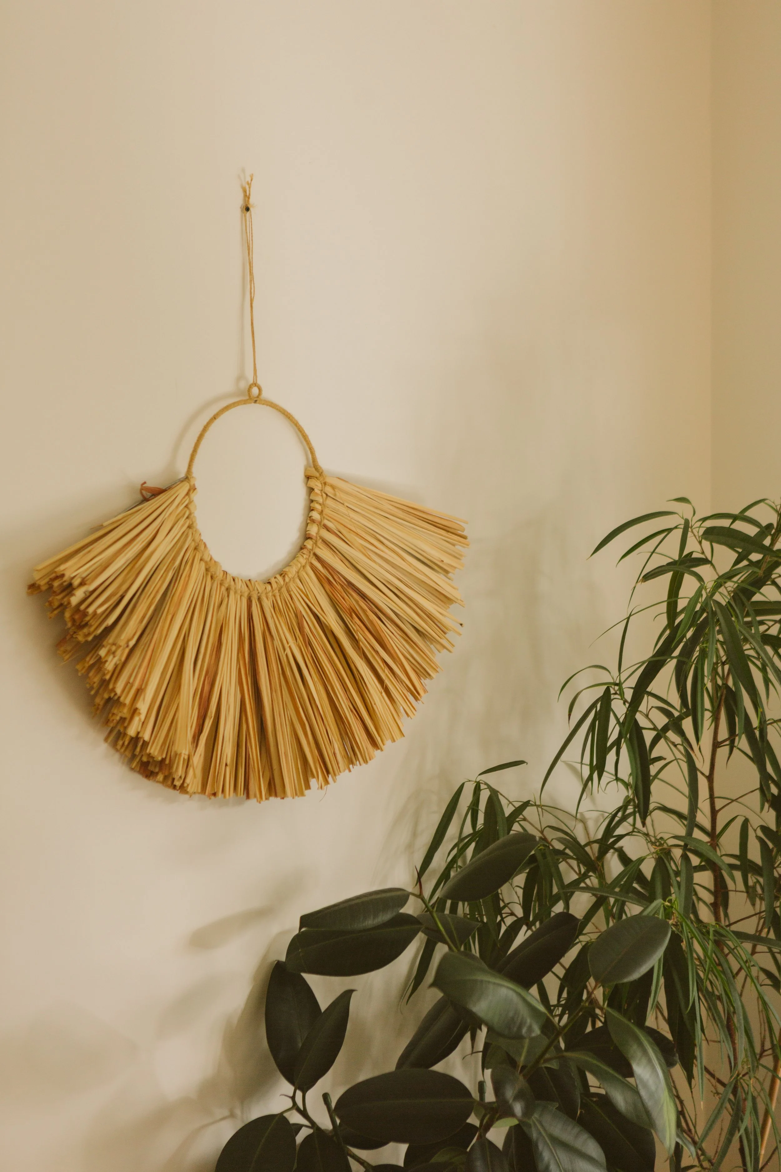 Decorative wall hanging made of straw or similar material, shaped like a semi-circle, hanging on a beige wall next to a green leafy plant.