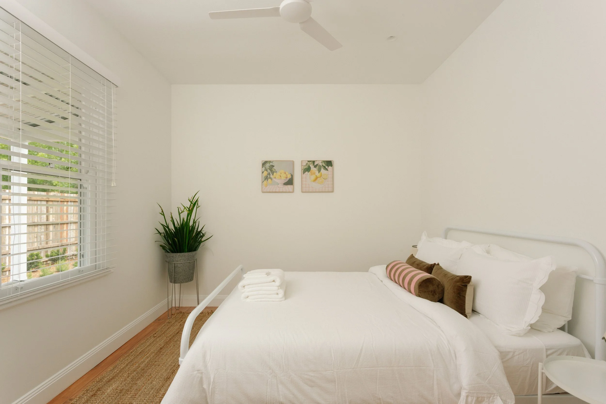 A minimalistic bedroom with white walls, a white bed with pillows, a towel on the bed, a potted plant near the window, and two framed pictures of lemons and lemon trees on the wall.