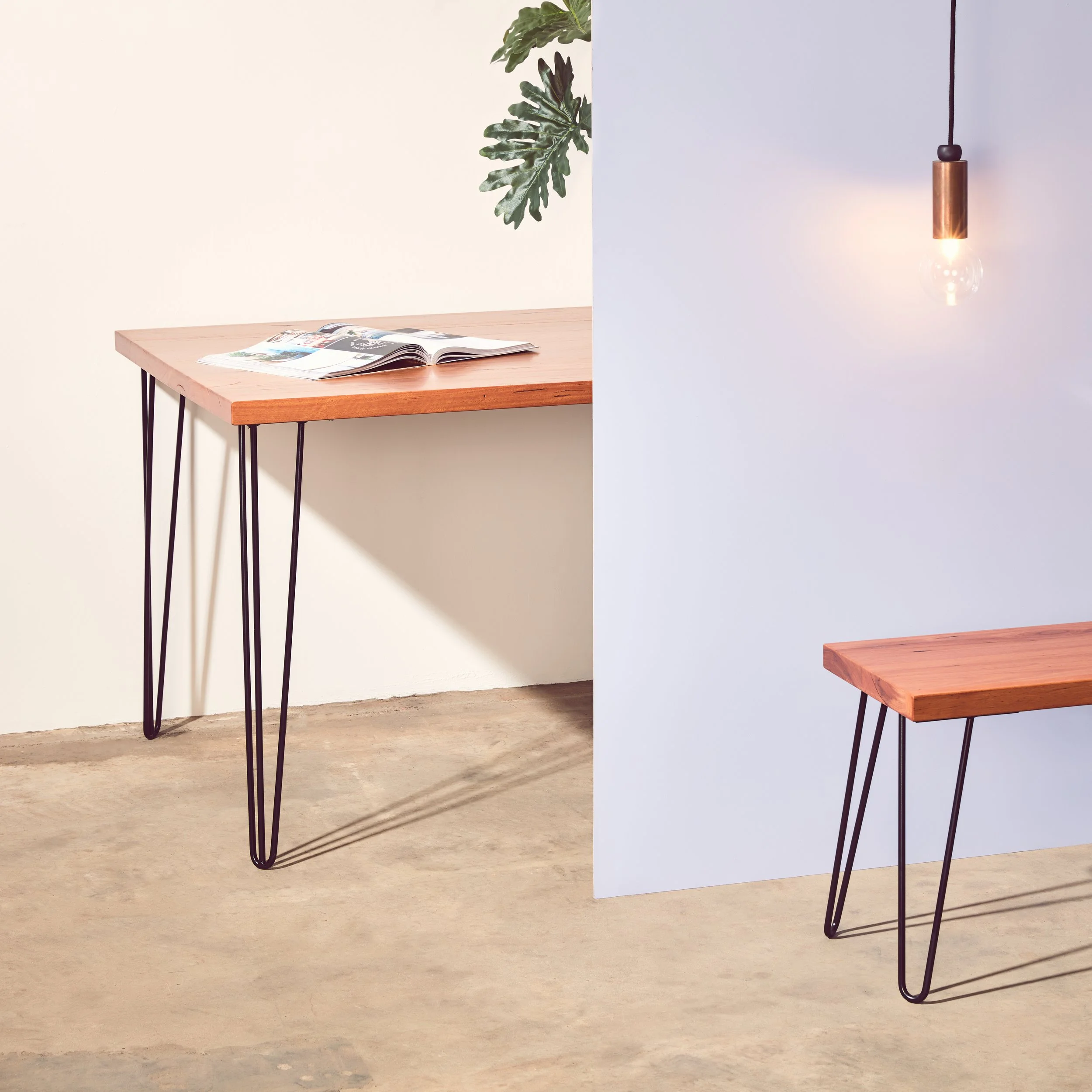 AUSTRALIAN HAIRPIN LEGS, MELBOURNE 

Creative Direction: Studio Brasier