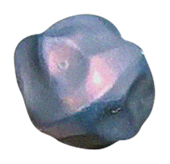 Close-up of a blue-gray object that appears to be a rock or mineral with some pinkish and purple hues.