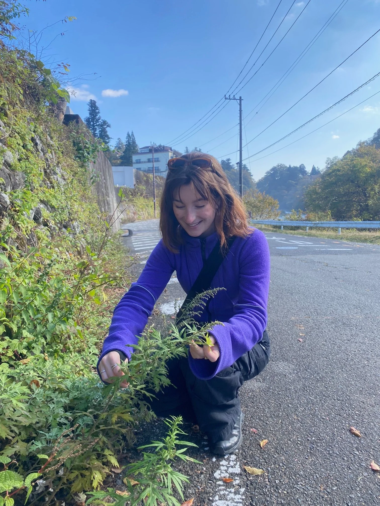 A woman crouches beside the road, examining and tending to green plants and weeds growing along the roadside.