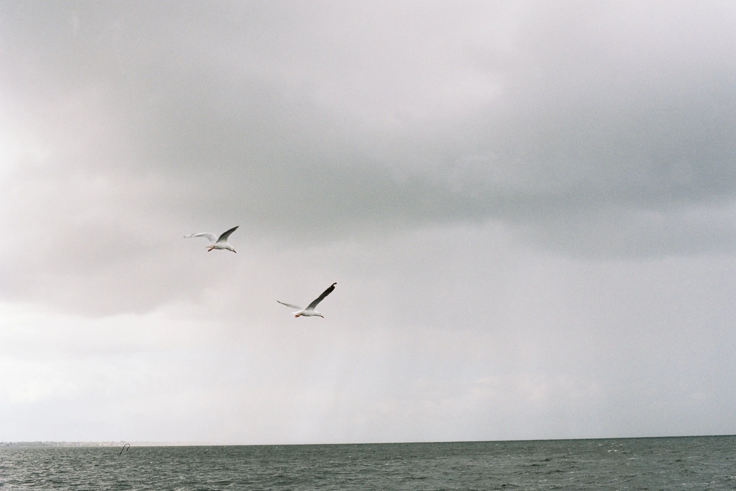 Is this the place I want to be?