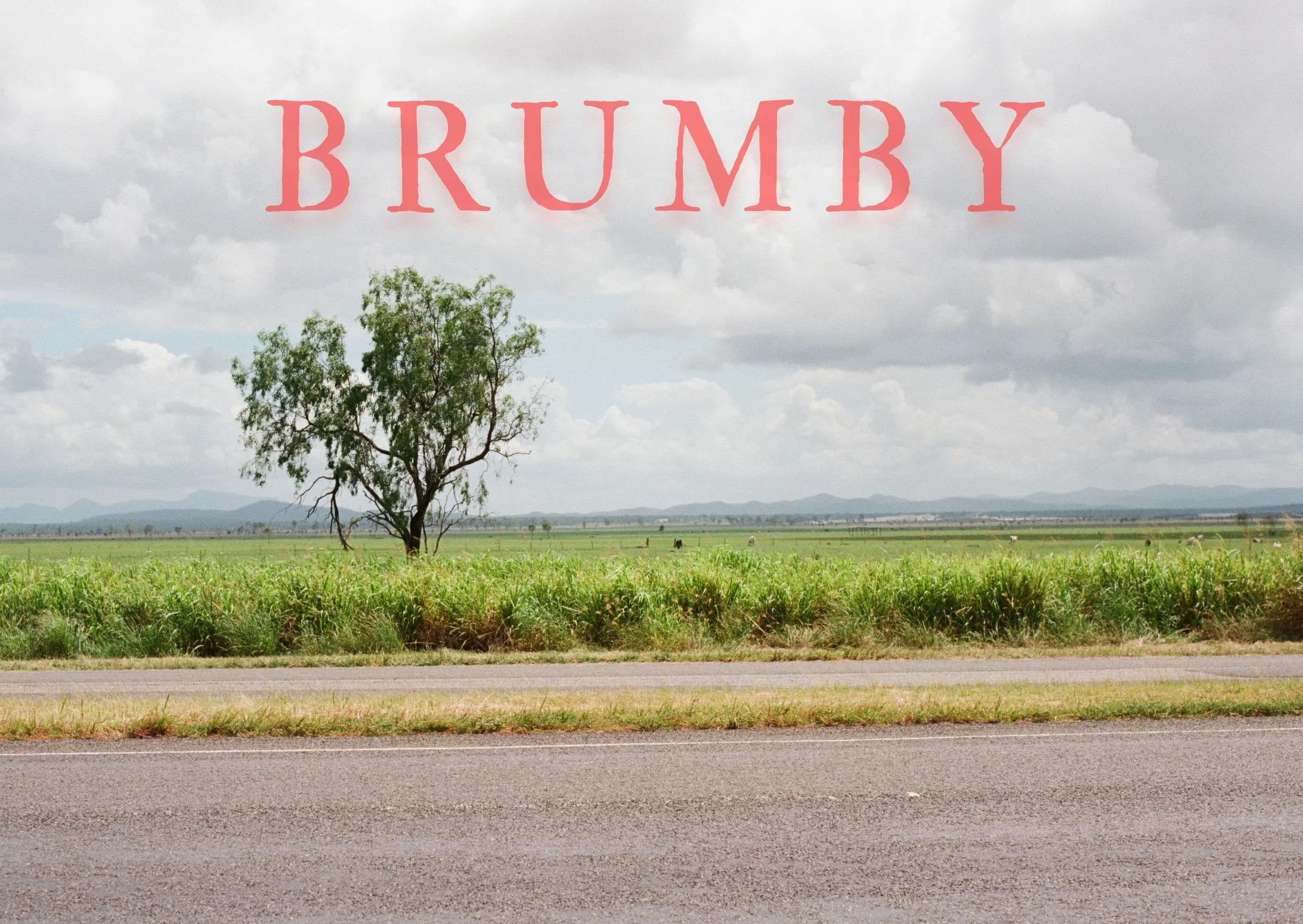 BRUMBY, Chapter 1