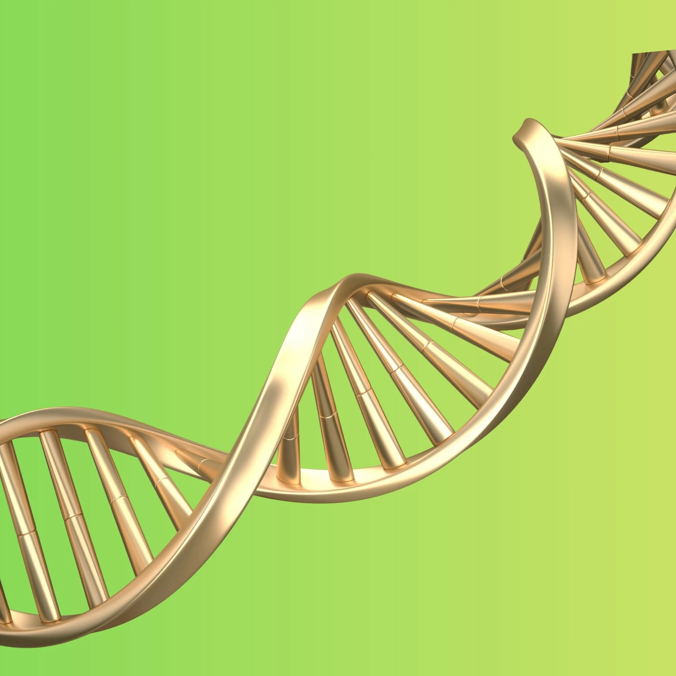 Symbolische Darstellung von Struktur und innerer Ordnung – Grundlage für Klarheit, Halt und persönliche Entwicklung
