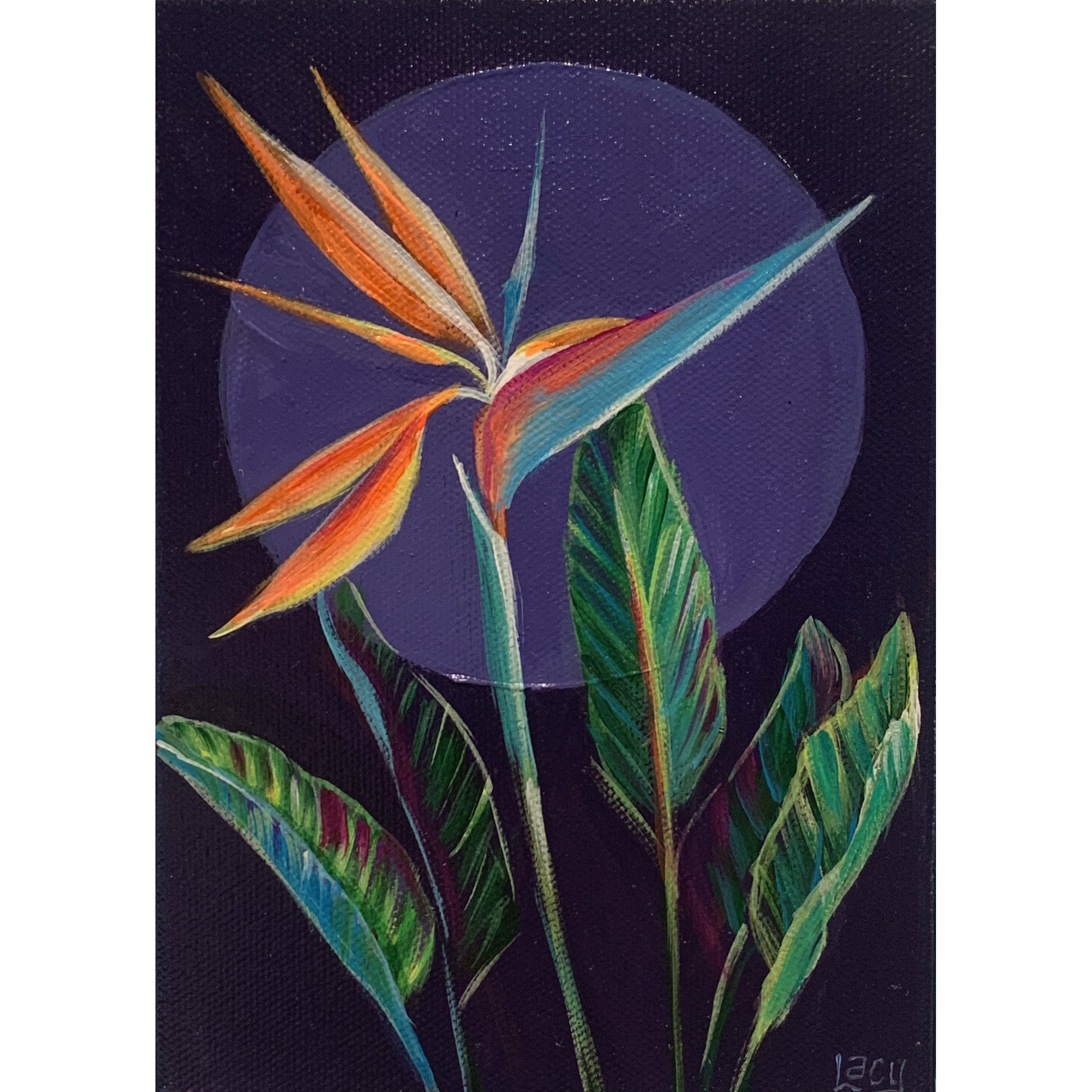 IMG_5934 no frame.jpg