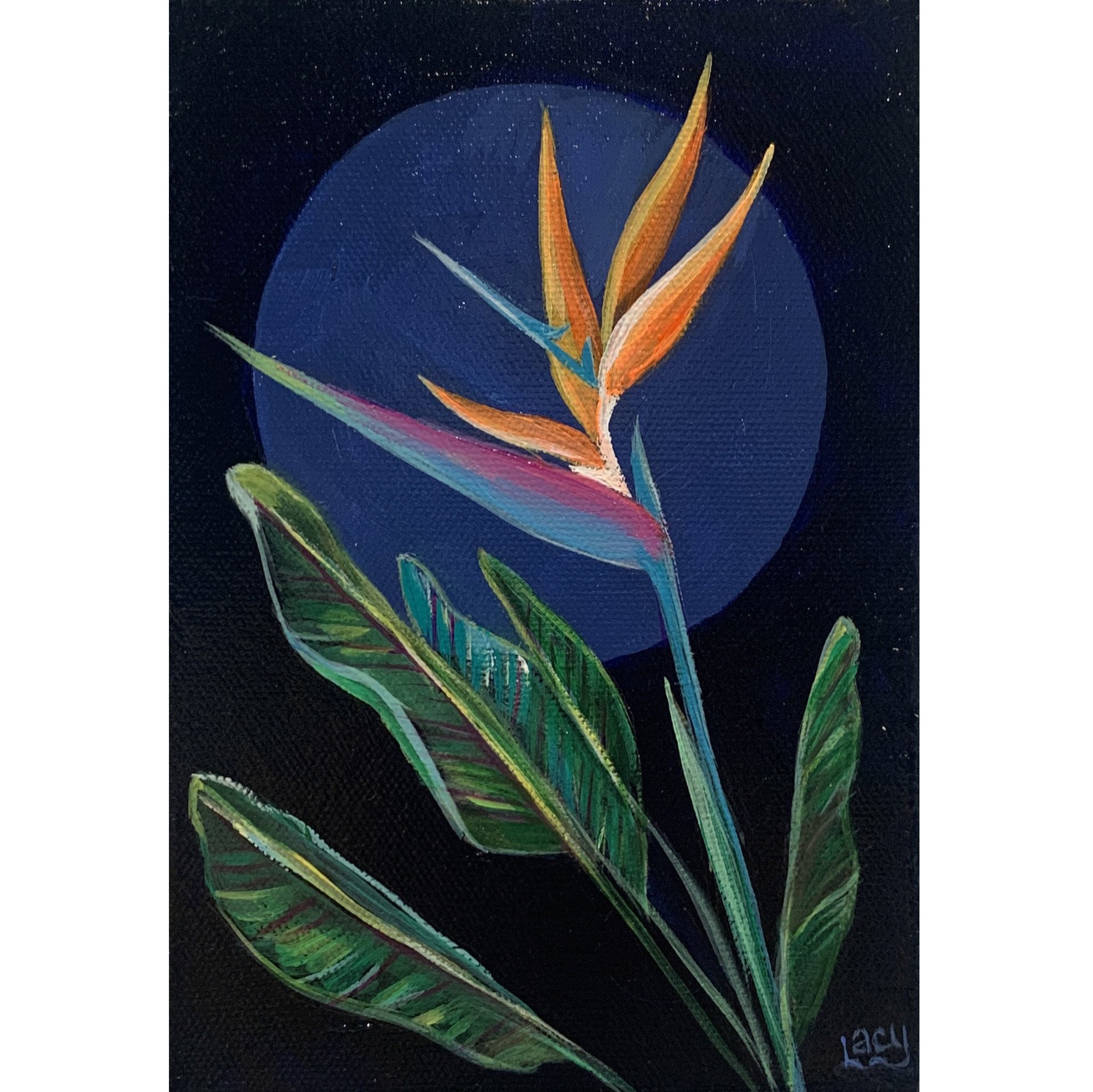 IMG_5930 no frame.jpg