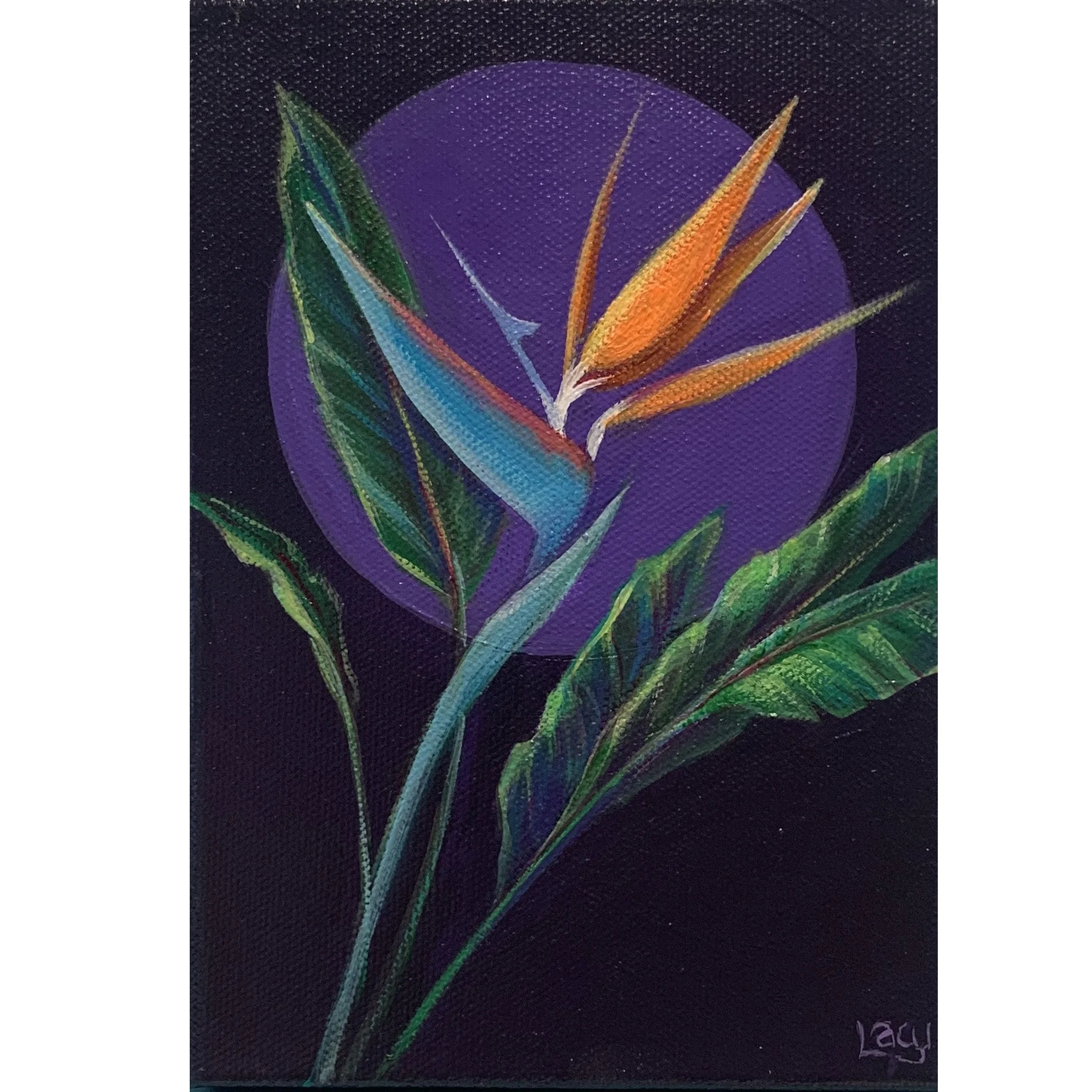 IMG_5926 no frame.jpg