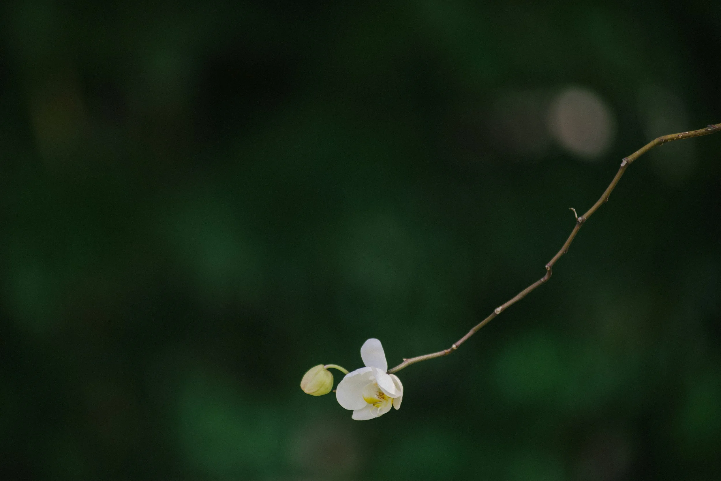 didi-paul-fqdaZYoBbdM-unsplash.jpg