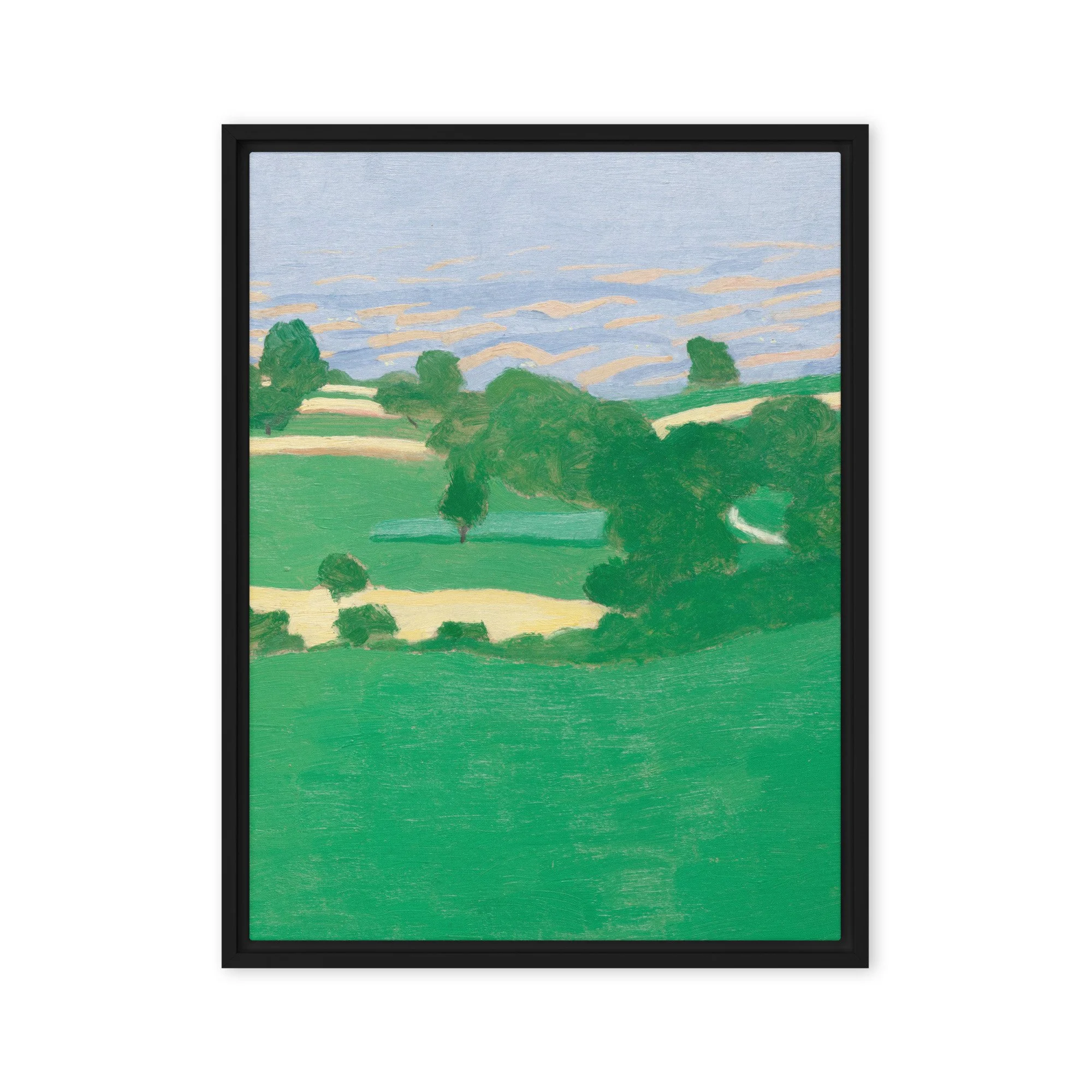 Framed canvas
