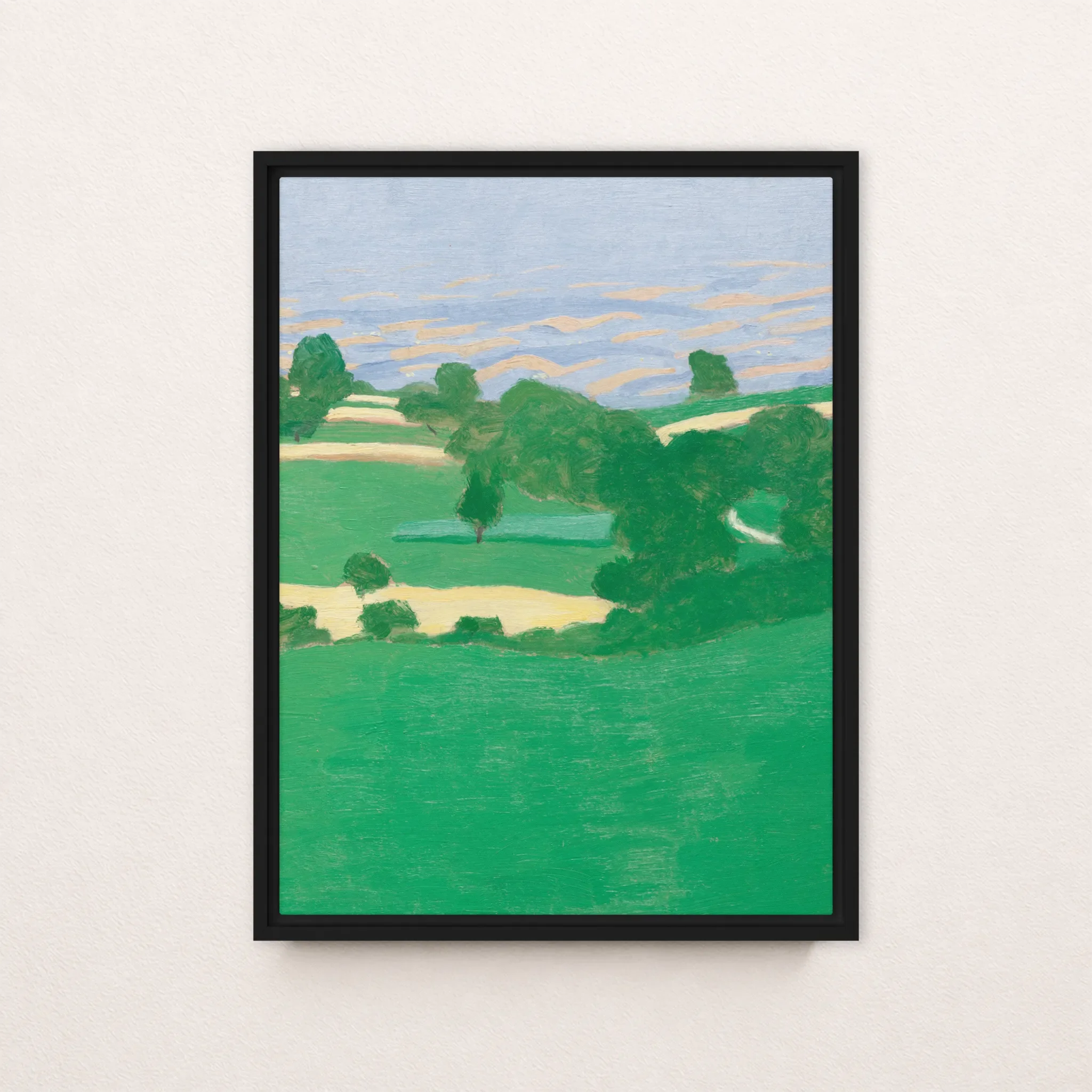 Framed canvas