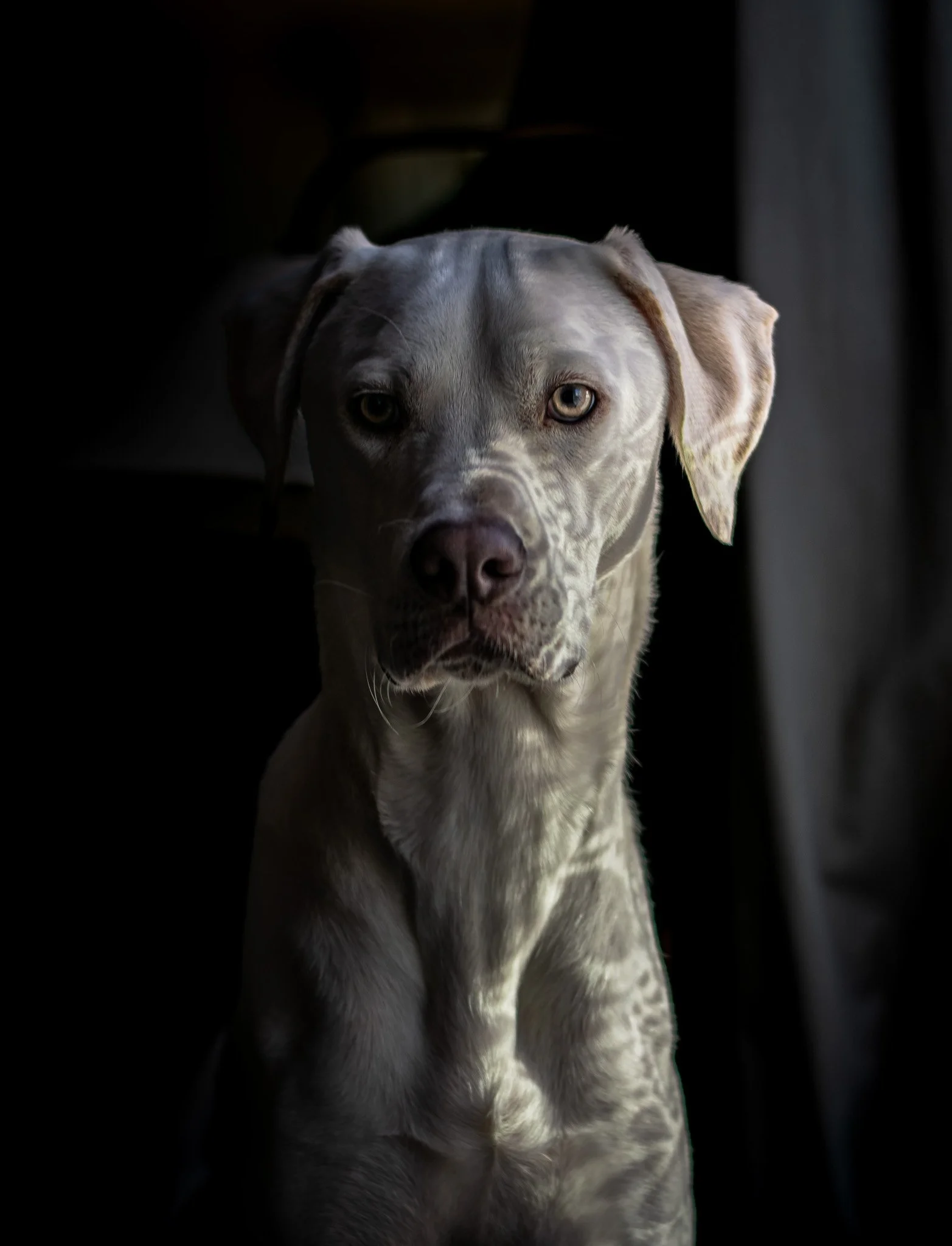 DSC_1453.jpg