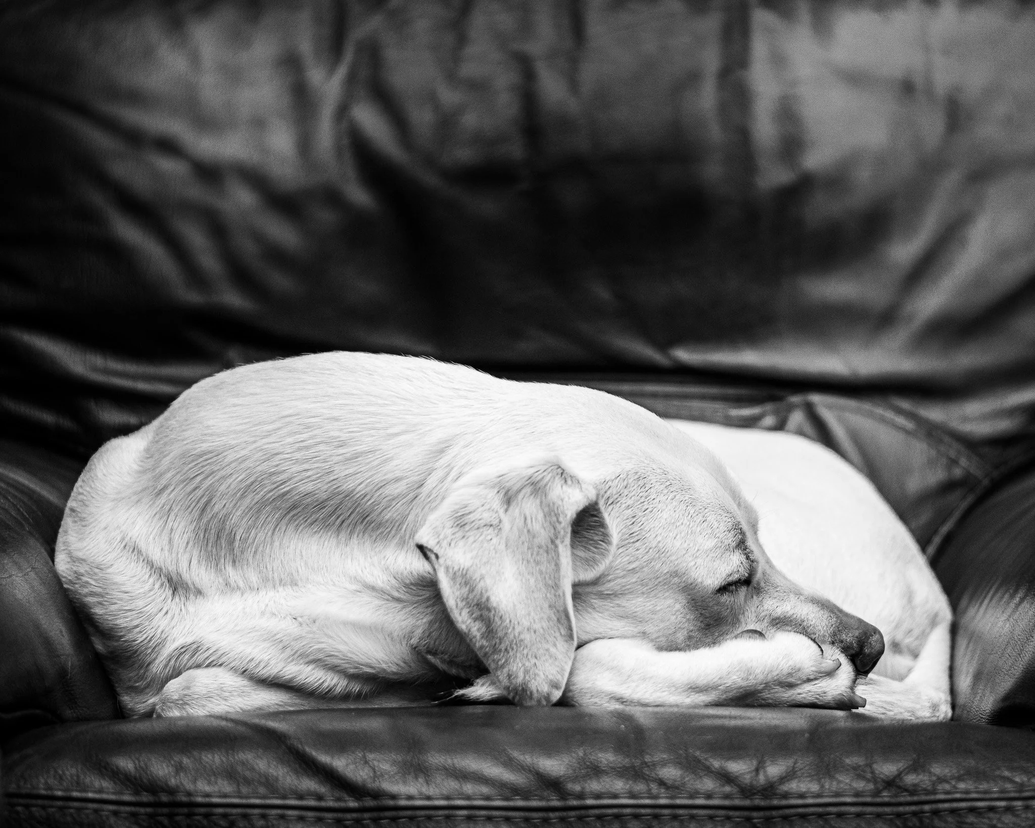 DSC_0377.jpg