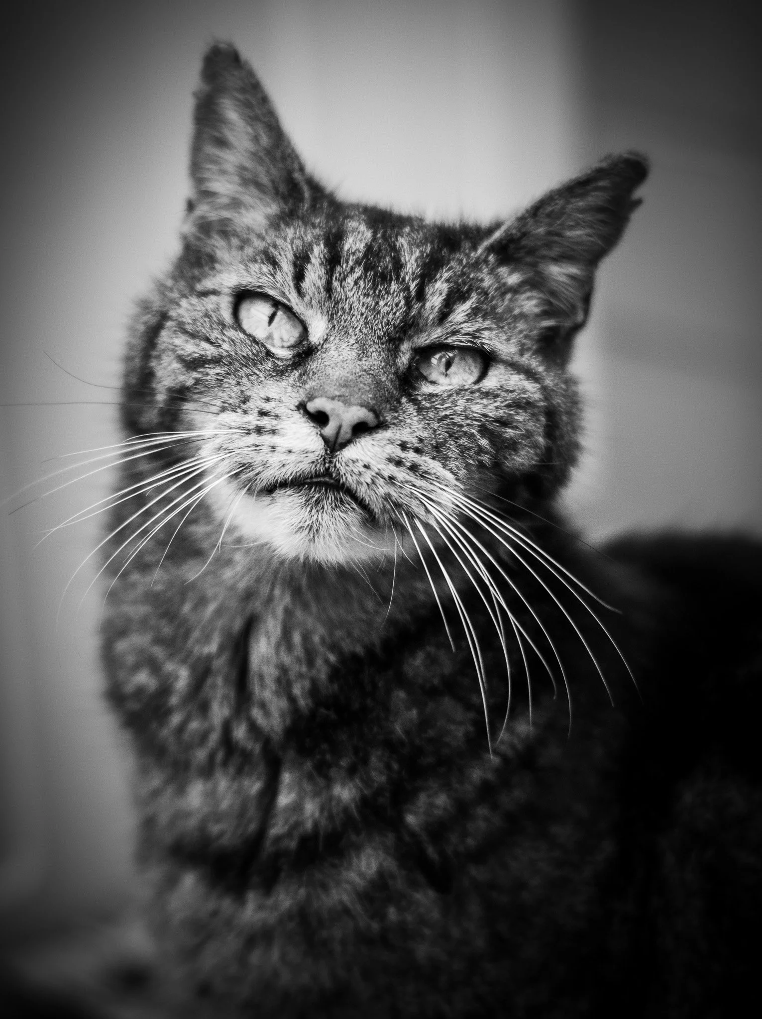 DSC_0392.jpg