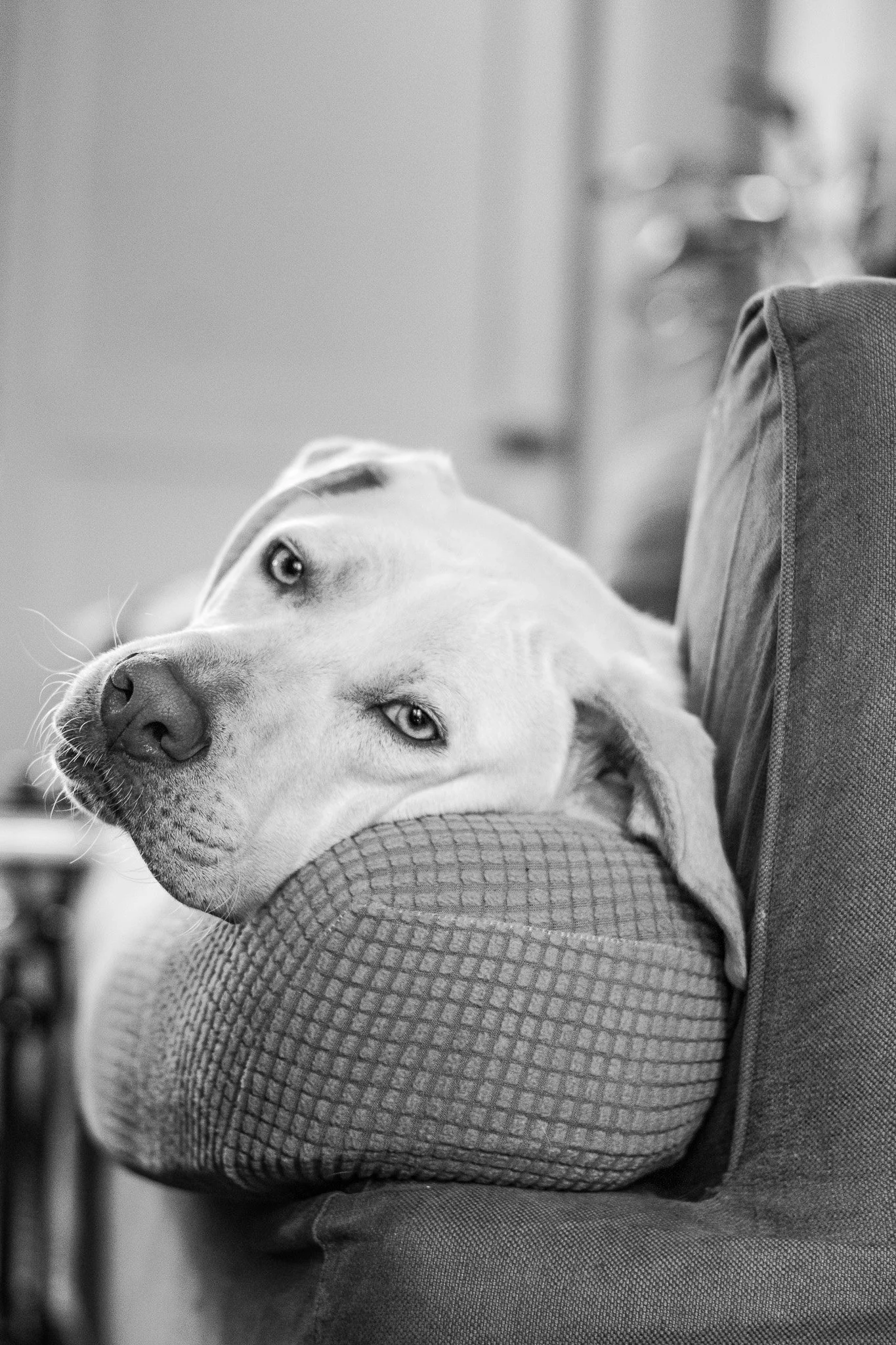 DSC_0022.jpg