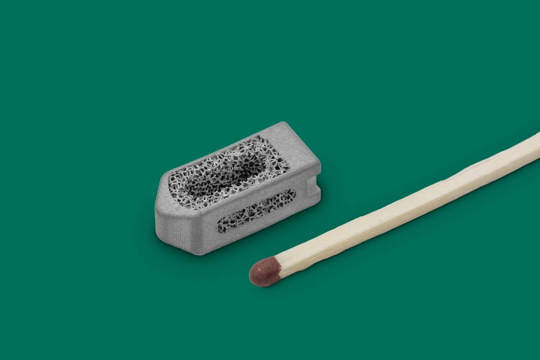 macro-shots-metshape-3 copy.jpg