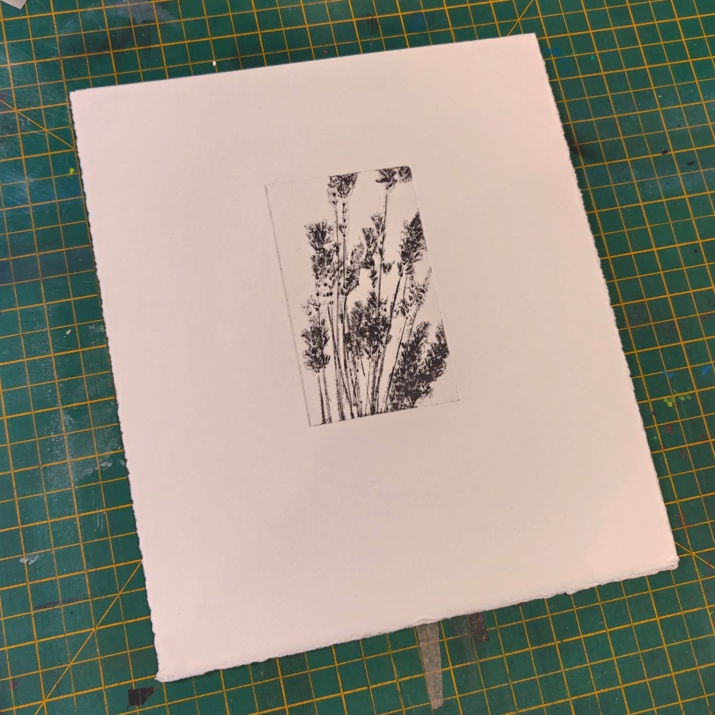I've decided to make a small edition using one of the plates I made for the 20:20 print exchange. All in all rather happy with it. These will be available t on my website soon and at print fairs, more on that soon. 

*****

#softgroundetching 
#editi