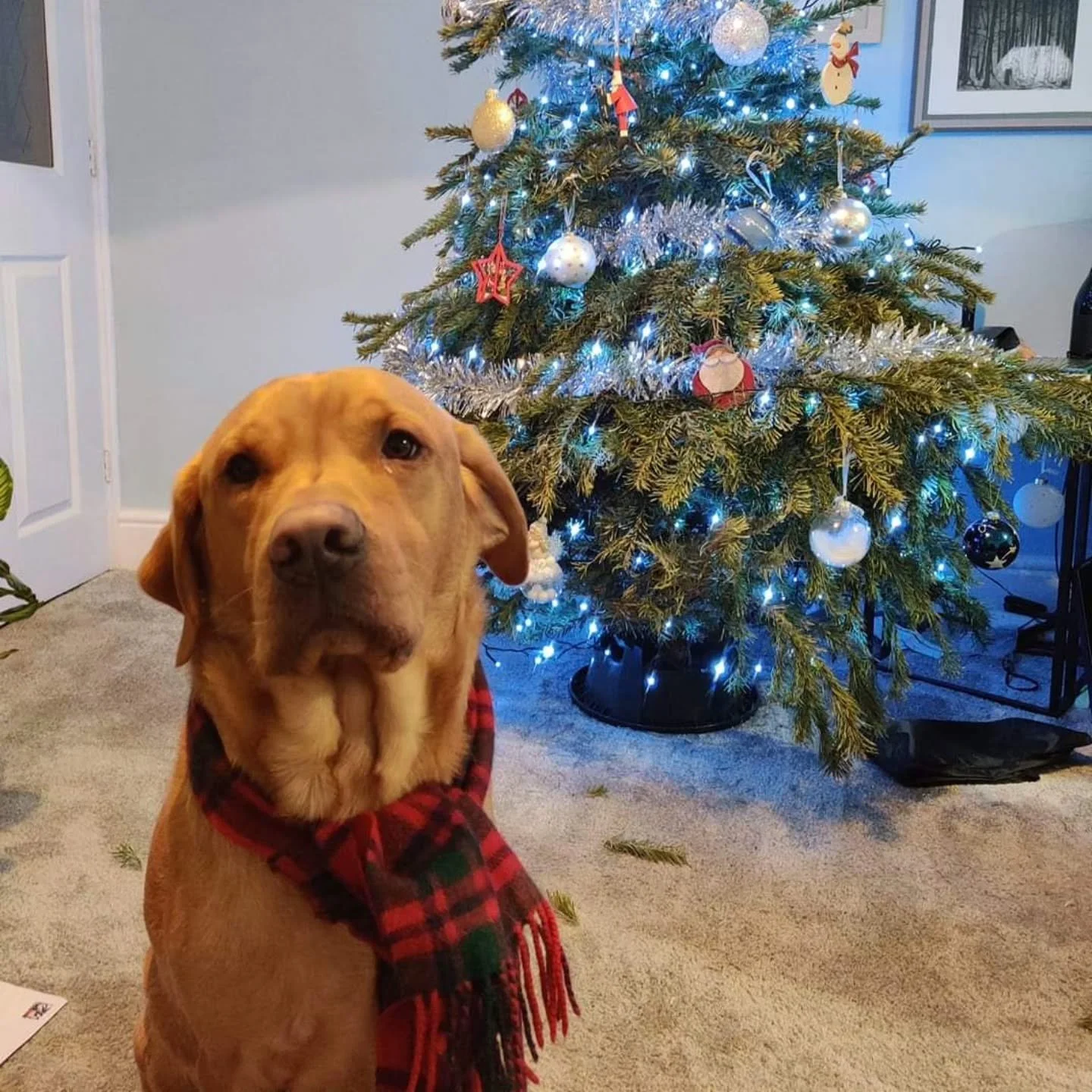 Merry Christmas to you and yours. May it be merry and bright! See you all in the new year!