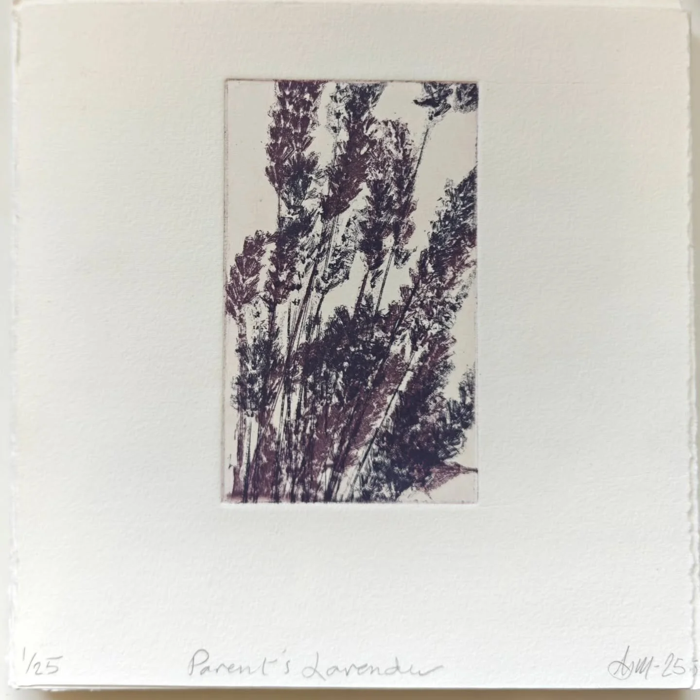 My entry for this years @2020printexchange .  It's an ode to the lavender bush that grows in my parent's garden.The smell of Lavender always makes me think of this photo of my Dad and Finn watching all the bee.