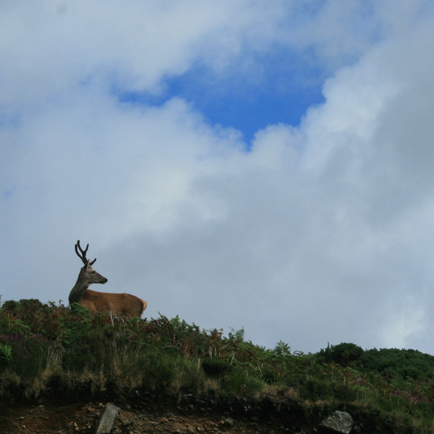 Finally had chance to look through some of the photos from my time in Uist. thought it would be rude not to share a handful (I found it rather hard to pick) I'm a little bewitched by the place and rather excited to develop all my ideas I have for new
