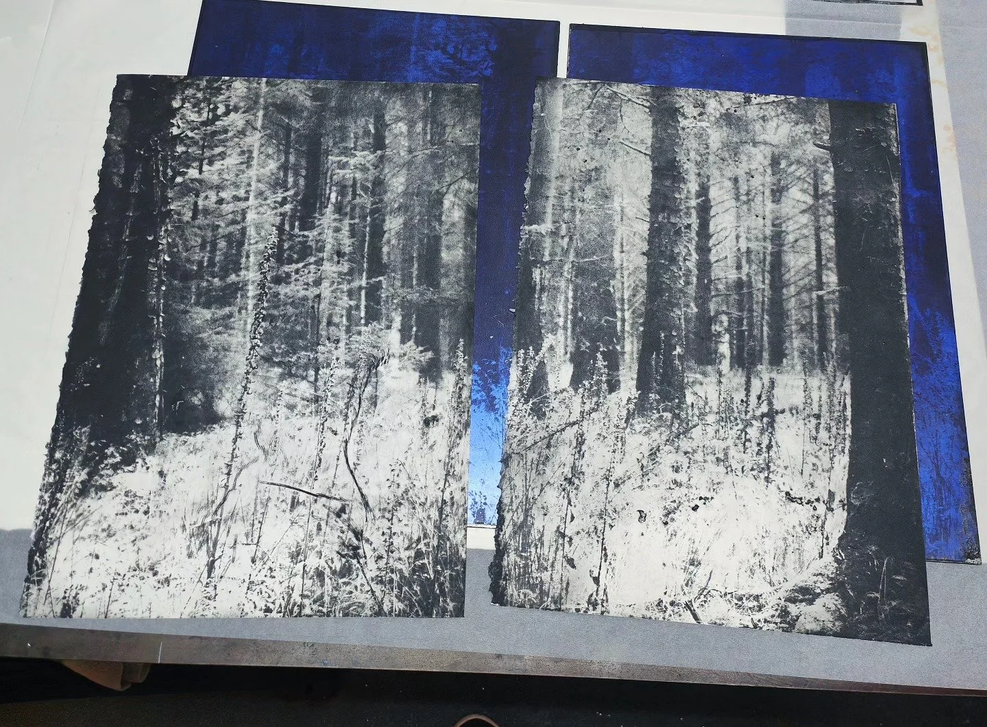 Winter hibernation OVER! Spent my morning printing these plates. Partly as a warm up but also as a proof of concept for a few ideas I have. Oh I do love intaglio! 

*******

#printmaking 
#print
#intaglioprintmaking
#longliveprint