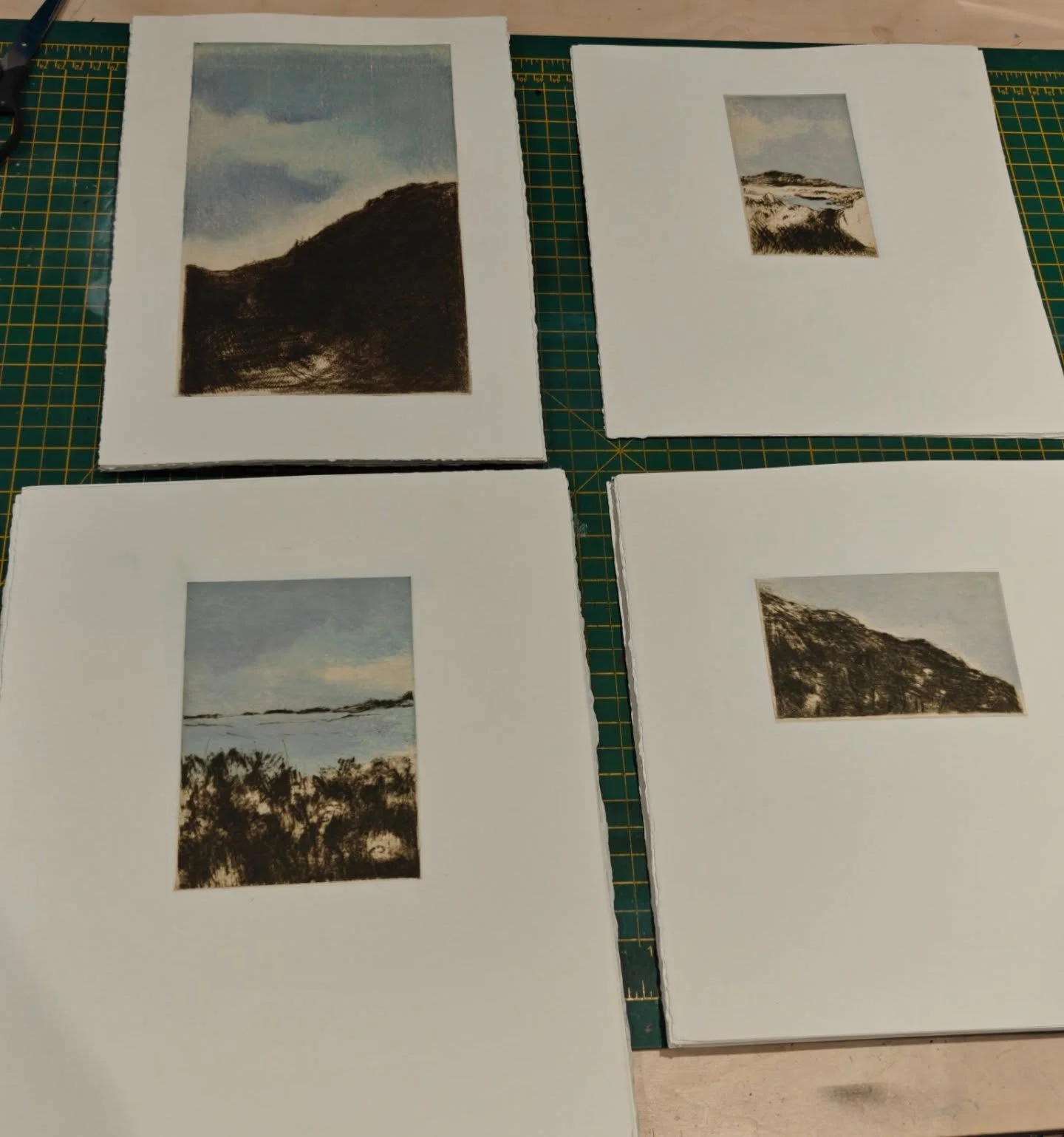 It's taken far too long, however I have officially editioned all the plates that I made during my time in Northern Uist. Just in time for @chesterprintfair

*******

#drypoint
#mokuhanga
#northuist