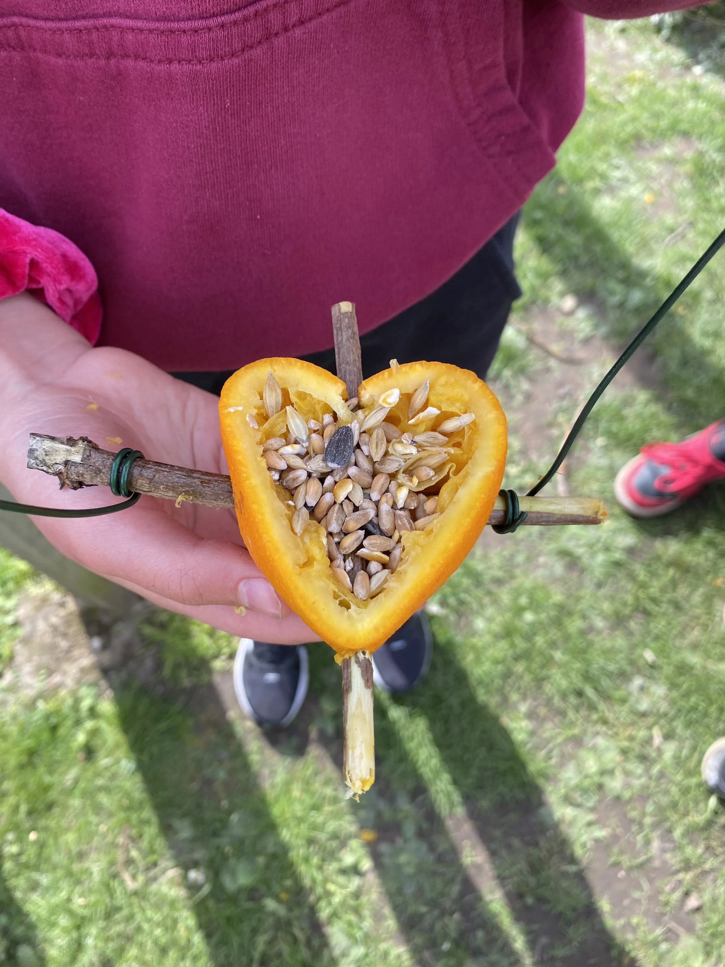 Weather as a Teacher: Embracing Outdoor Learning in Every Season