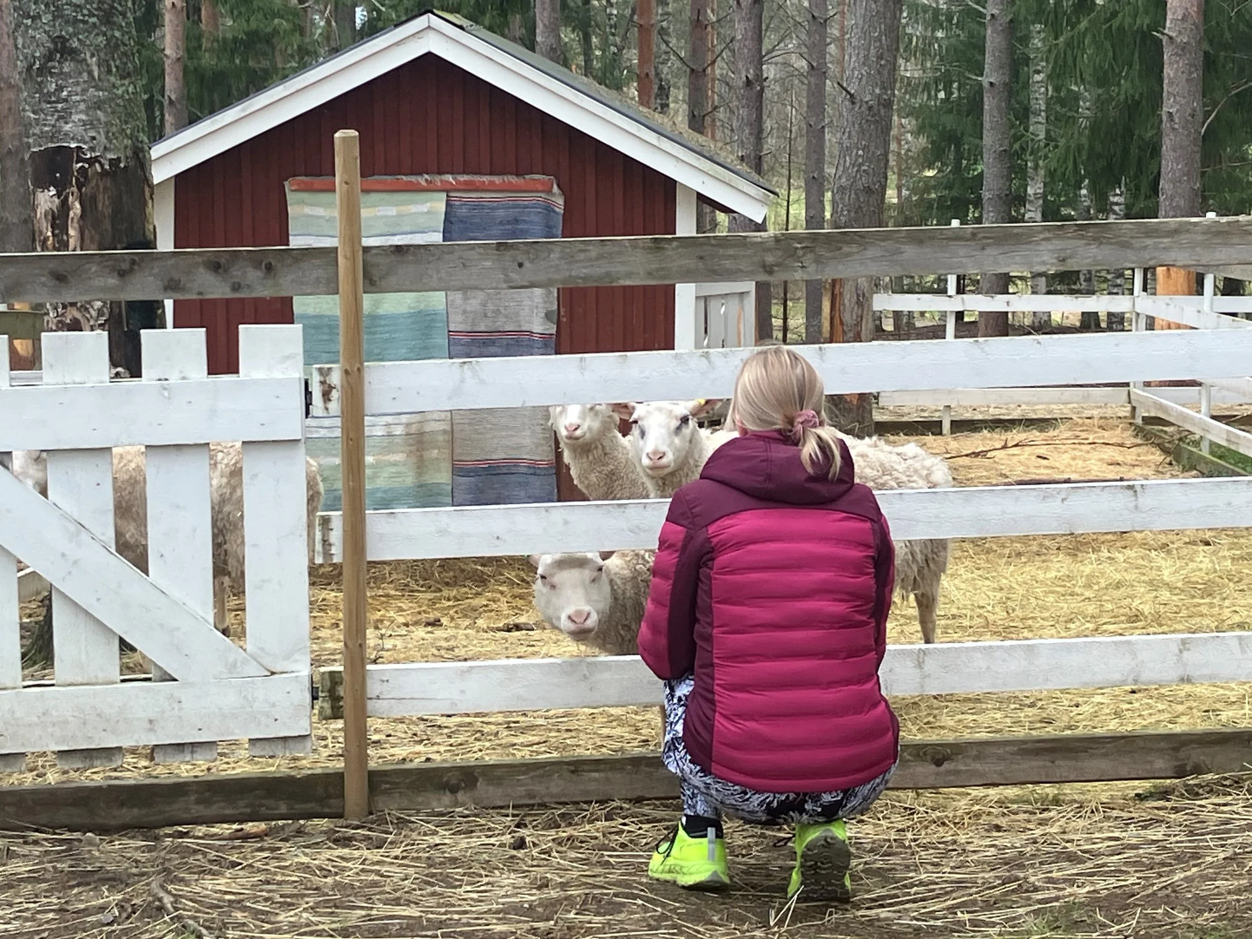 Kurssi Tuhannen tarinan talolla