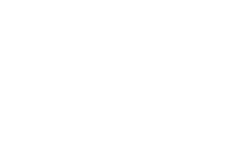 PRIMED Pet Photography