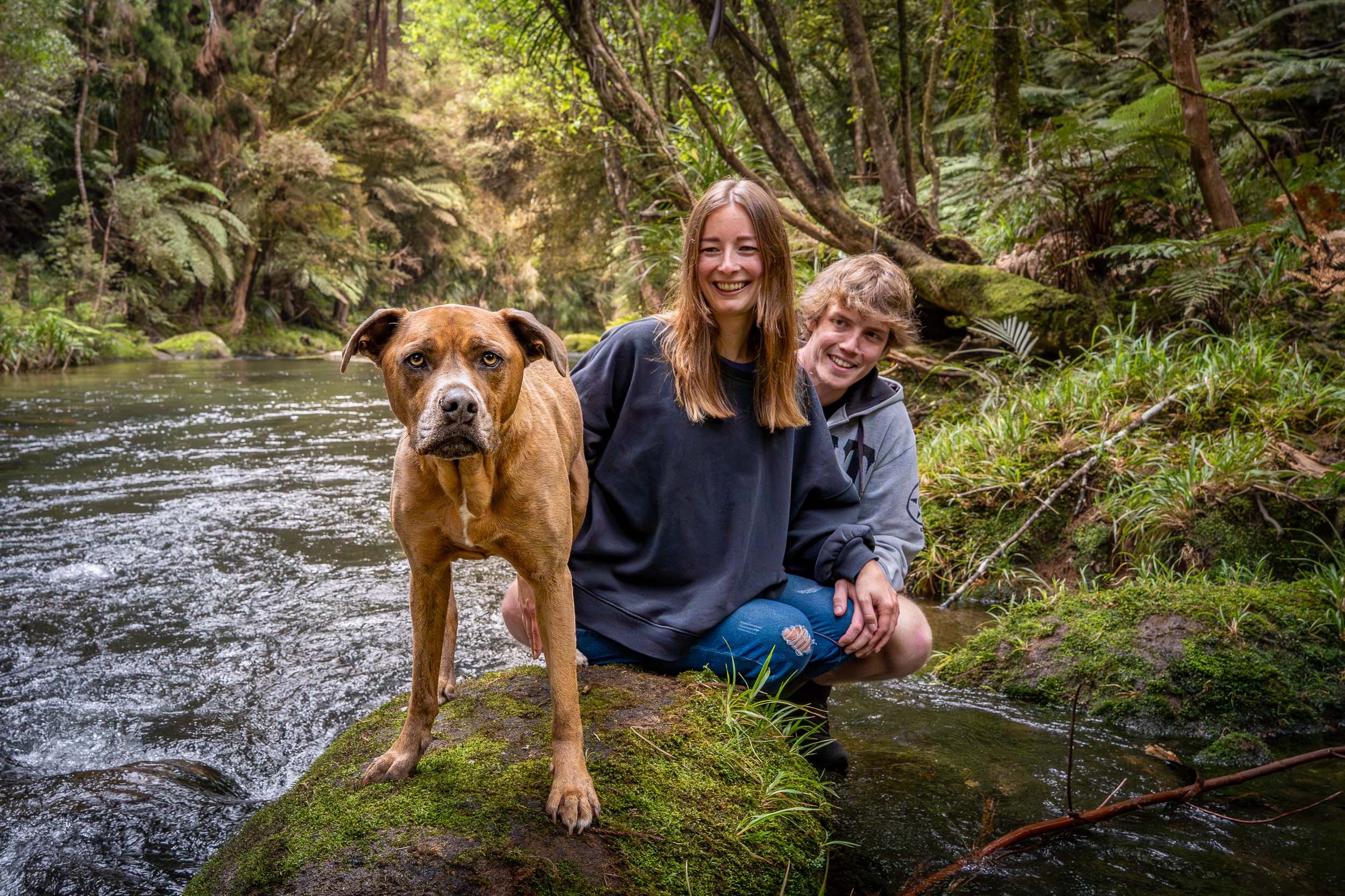 Two young adults, one woman and one man, with a brown dog standing on a mossy rock in a river, surrounded by lush green trees in a forest setting.