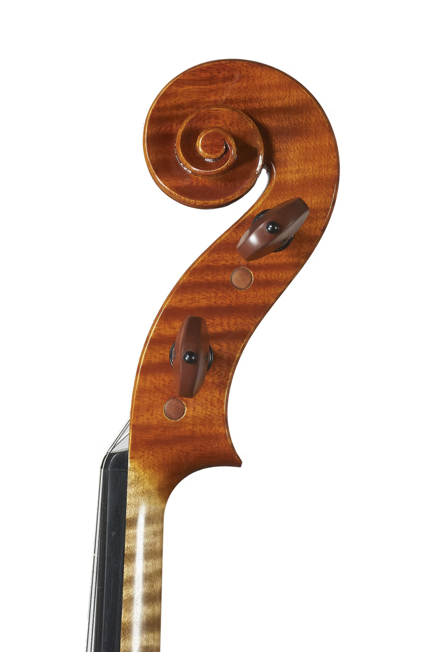 2017 viola by Marco Osio — gallery view4