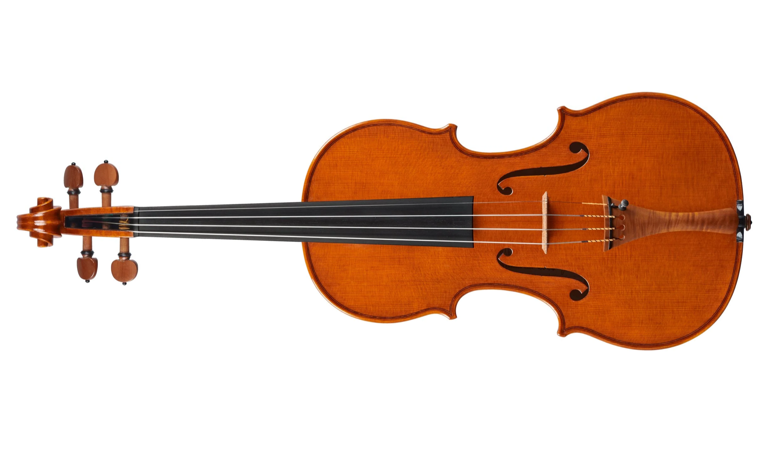 Violin by Marco Osio