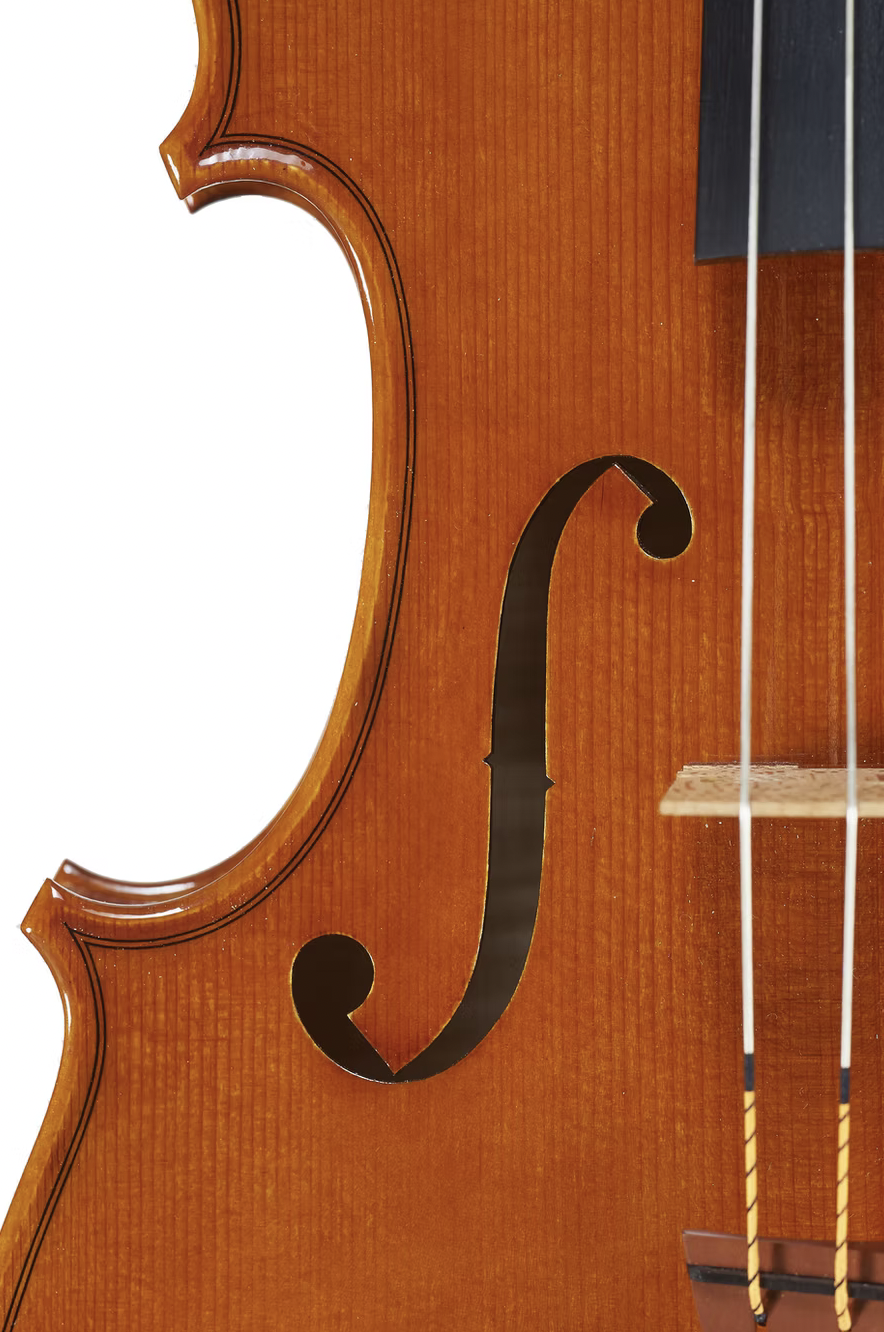 2017 viola by Marco Osio — gallery view6