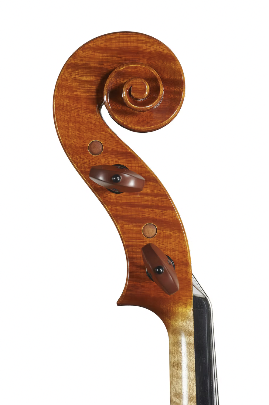 2017 viola by Marco Osio — gallery view5